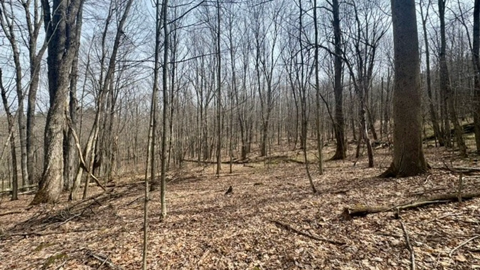 Property at 653 Frank Briggs Road, Davenport, NY 13820 29