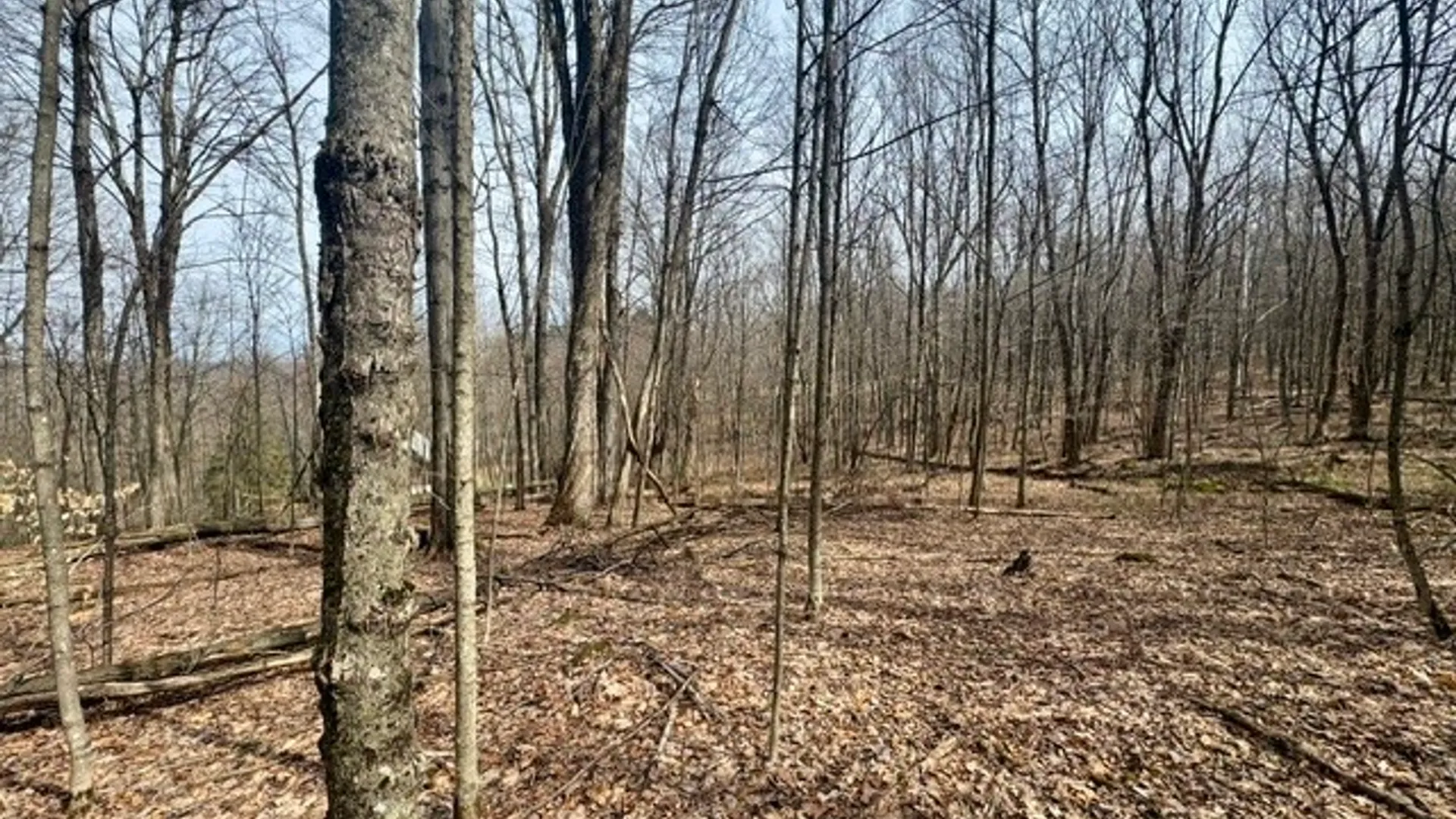 Property at 653 Frank Briggs Road, Davenport, NY 13820 30