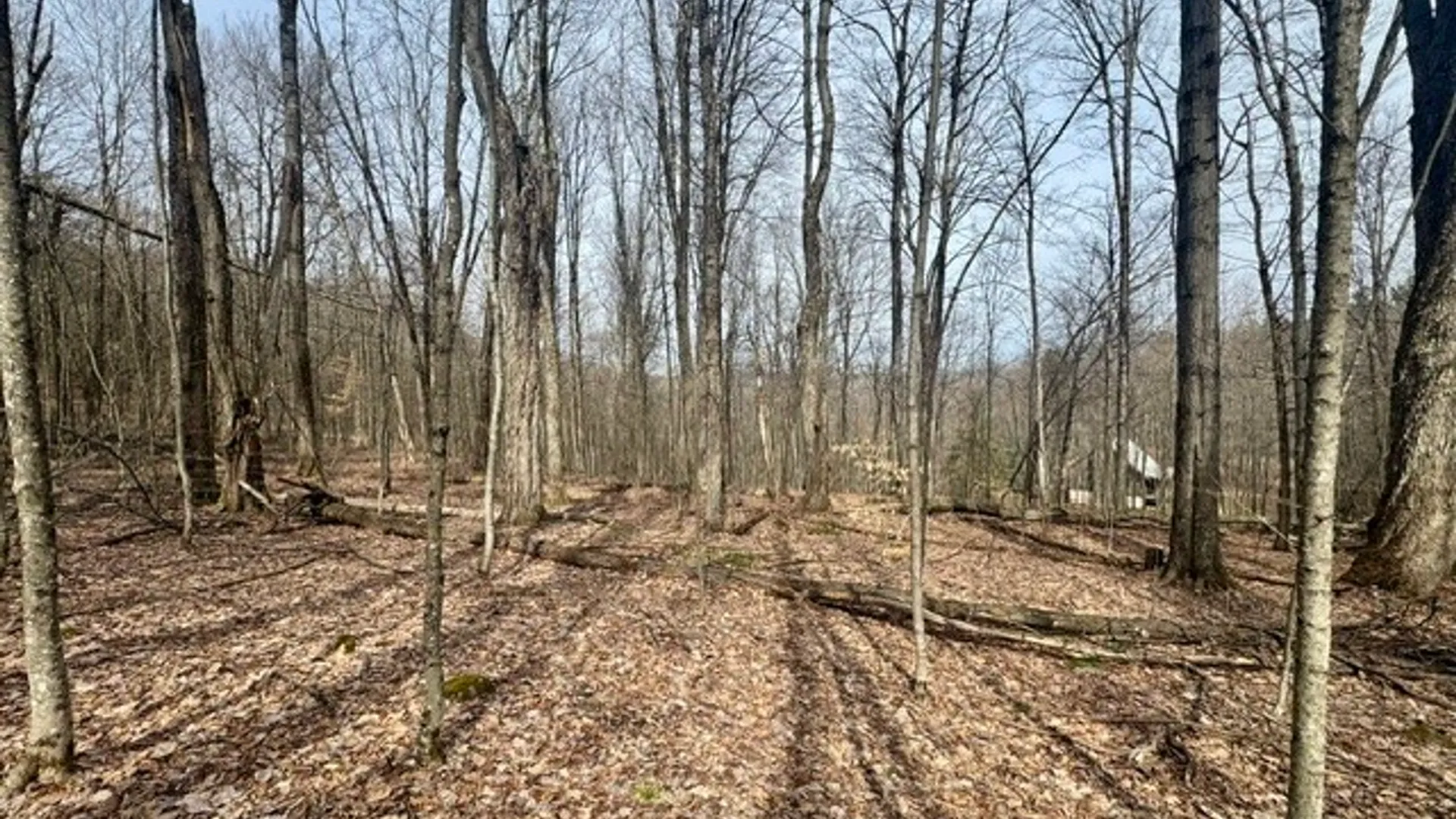 Property at 653 Frank Briggs Road, Davenport, NY 13820 31