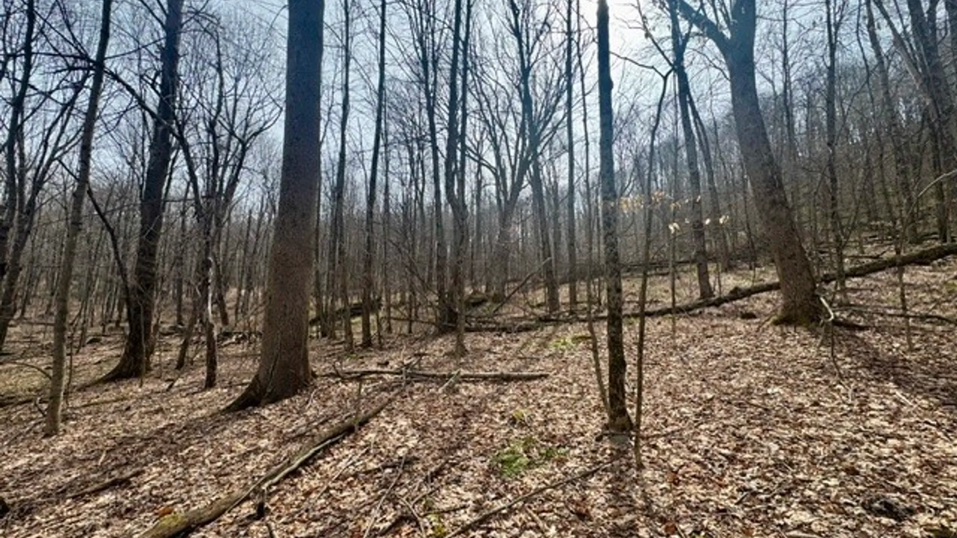 Property at 653 Frank Briggs Road, Davenport, NY 13820 32