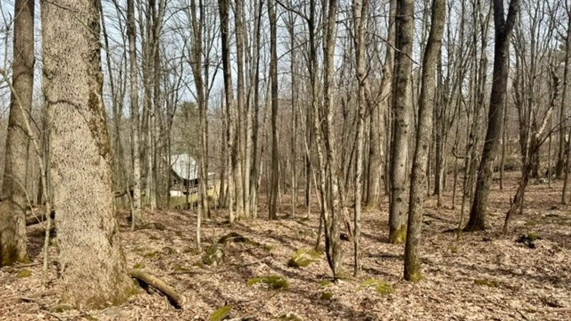 Property at 653 Frank Briggs Road, Davenport, NY 13820 35