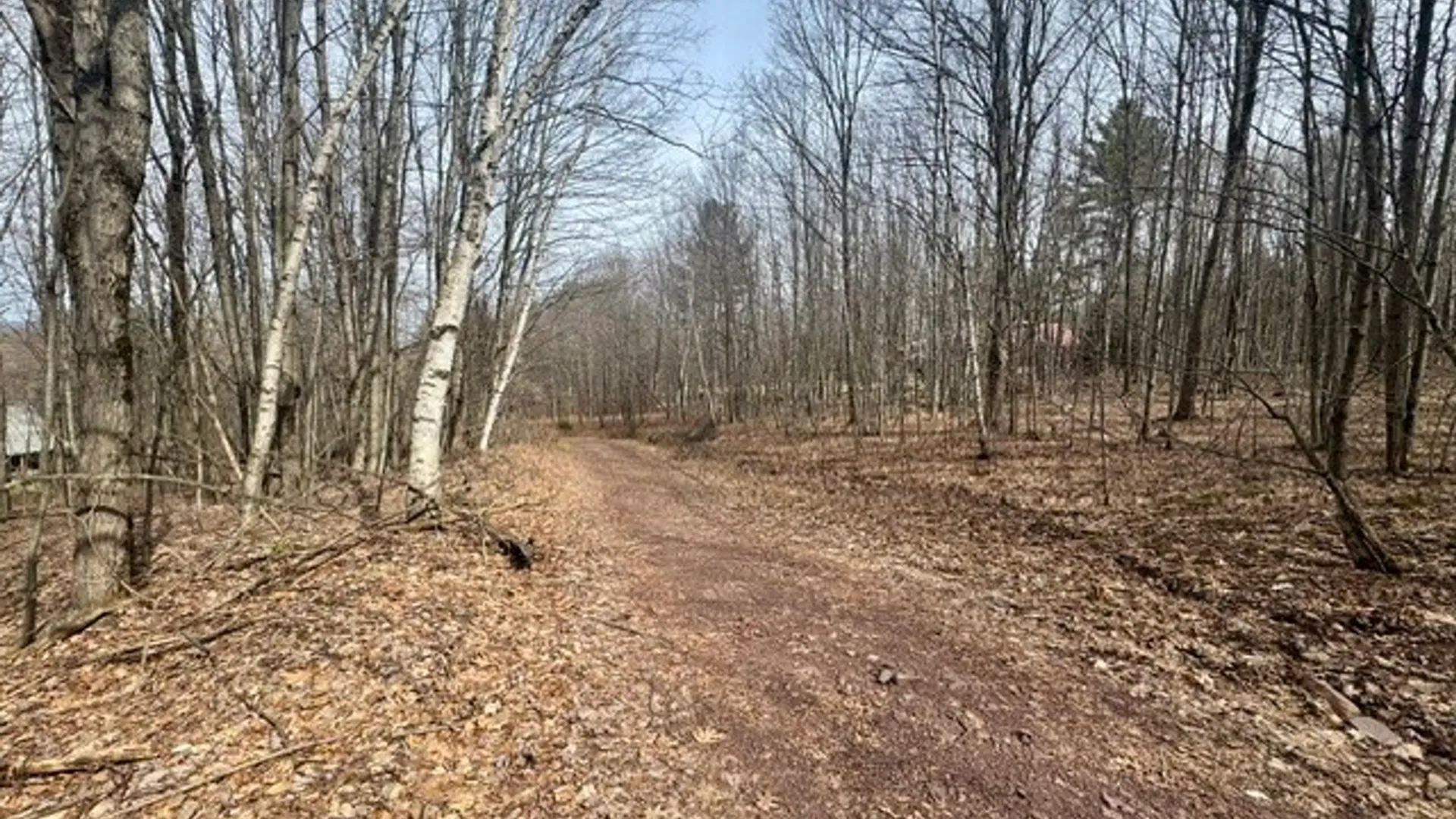 Property at 653 Frank Briggs Road, Davenport, NY 13820 3