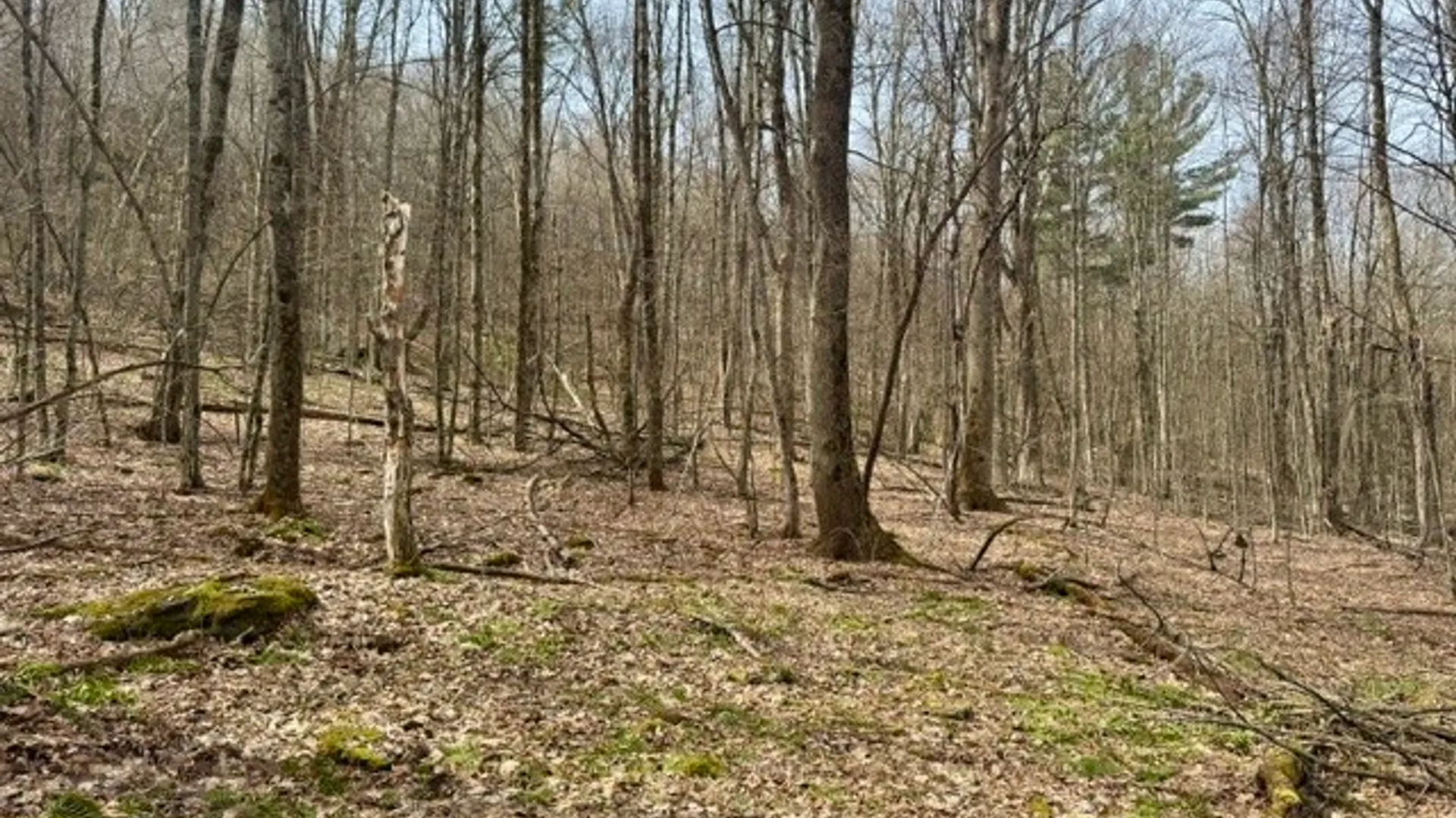 Property at 653 Frank Briggs Road, Davenport, NY 13820 4
