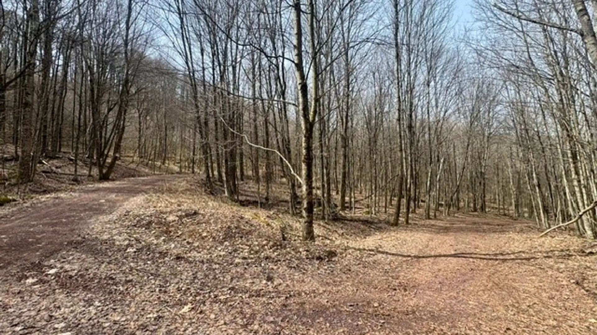 Property at 653 Frank Briggs Road, Davenport, NY 13820 5