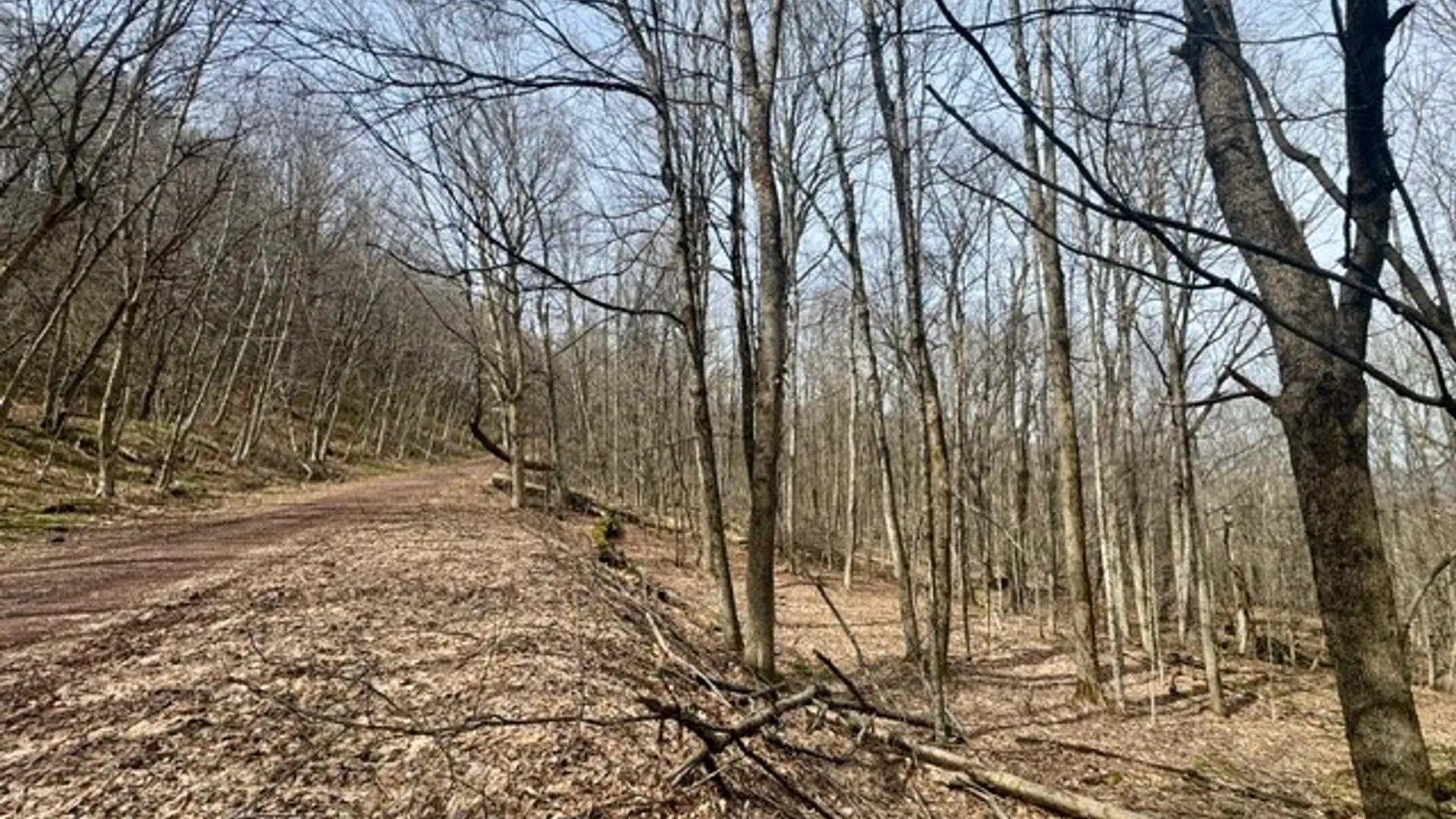 Property at 653 Frank Briggs Road, Davenport, NY 13820 6
