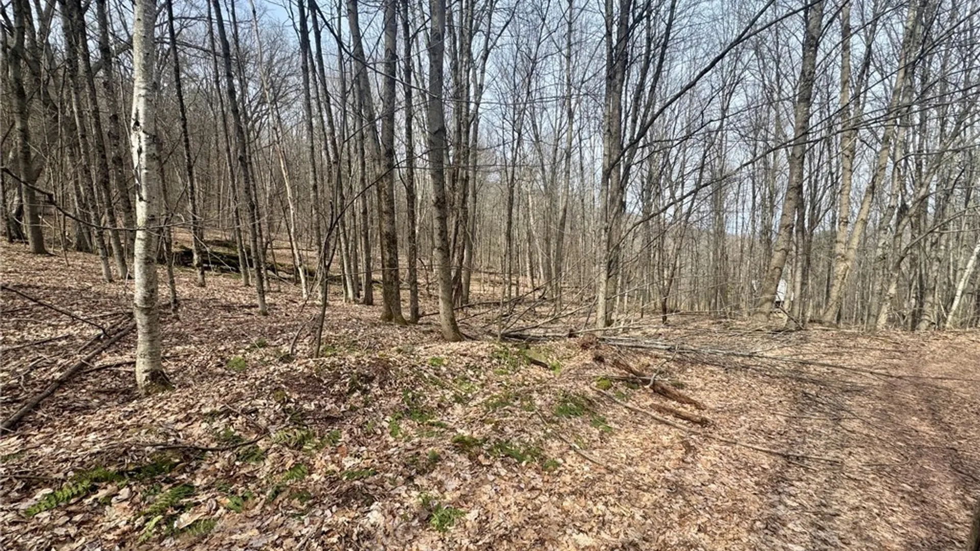 Property at 653 Frank Briggs Road, Davenport, NY 13820 7