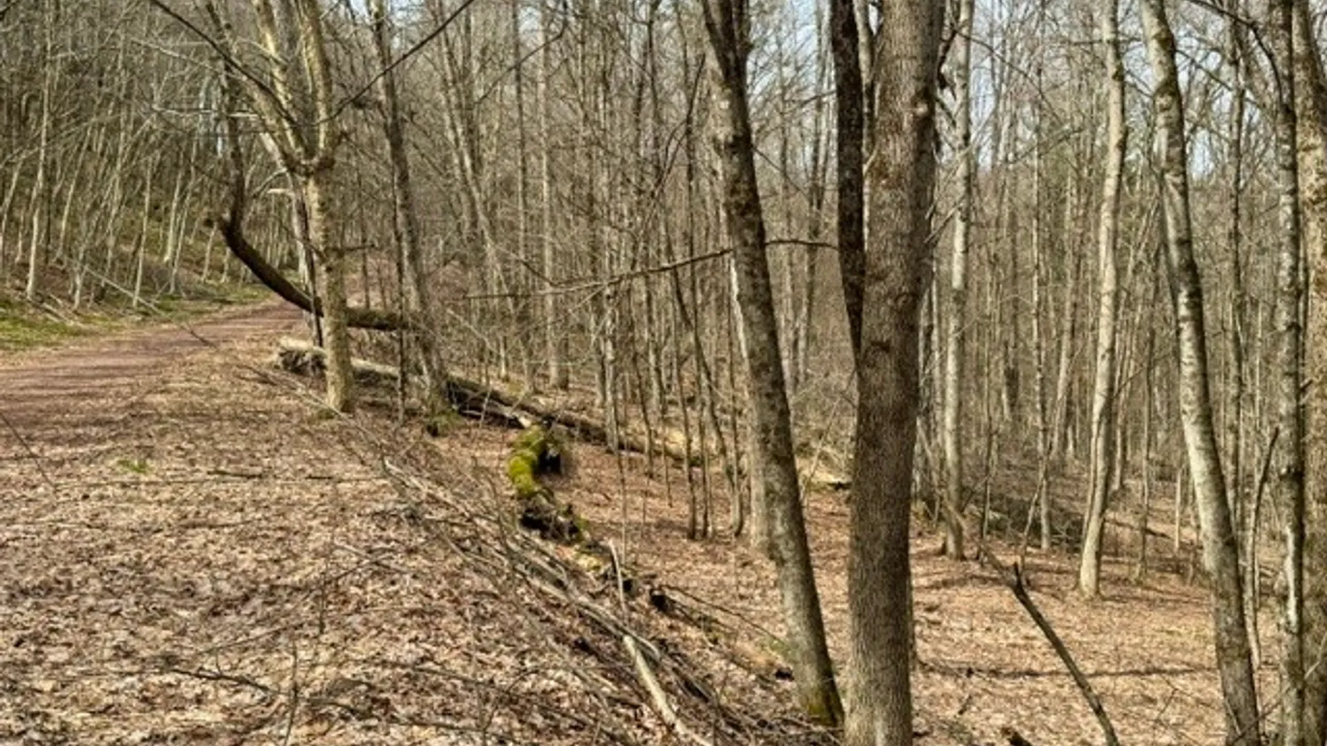 Property at 653 Frank Briggs Road, Davenport, NY 13820 8