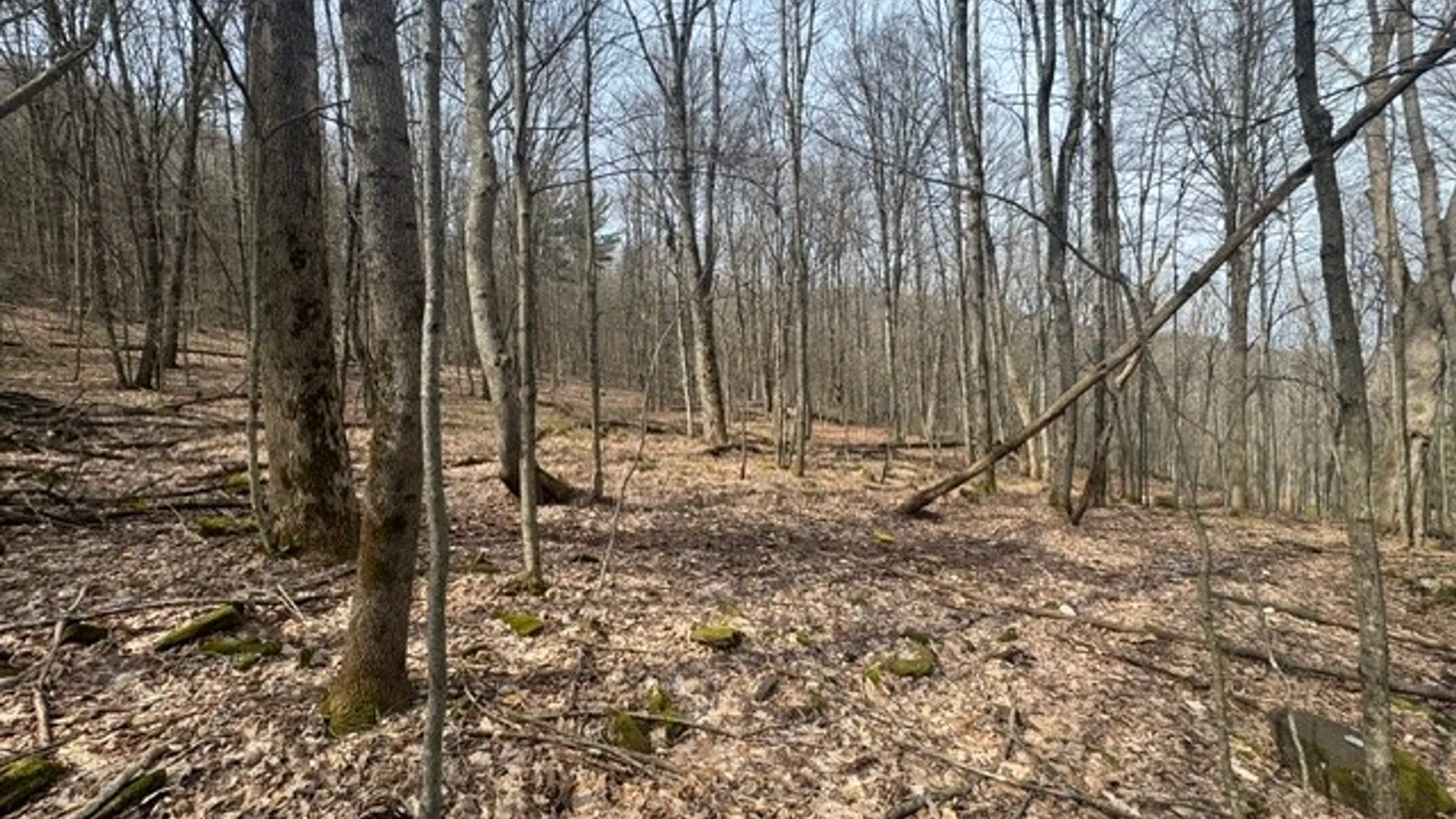 Property at 653 Frank Briggs Road, Davenport, NY 13820 9