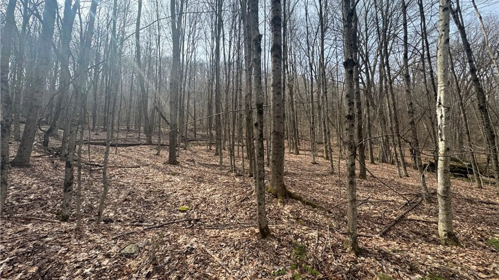 Property at 653 Frank Briggs Road, Davenport, NY 13820 10