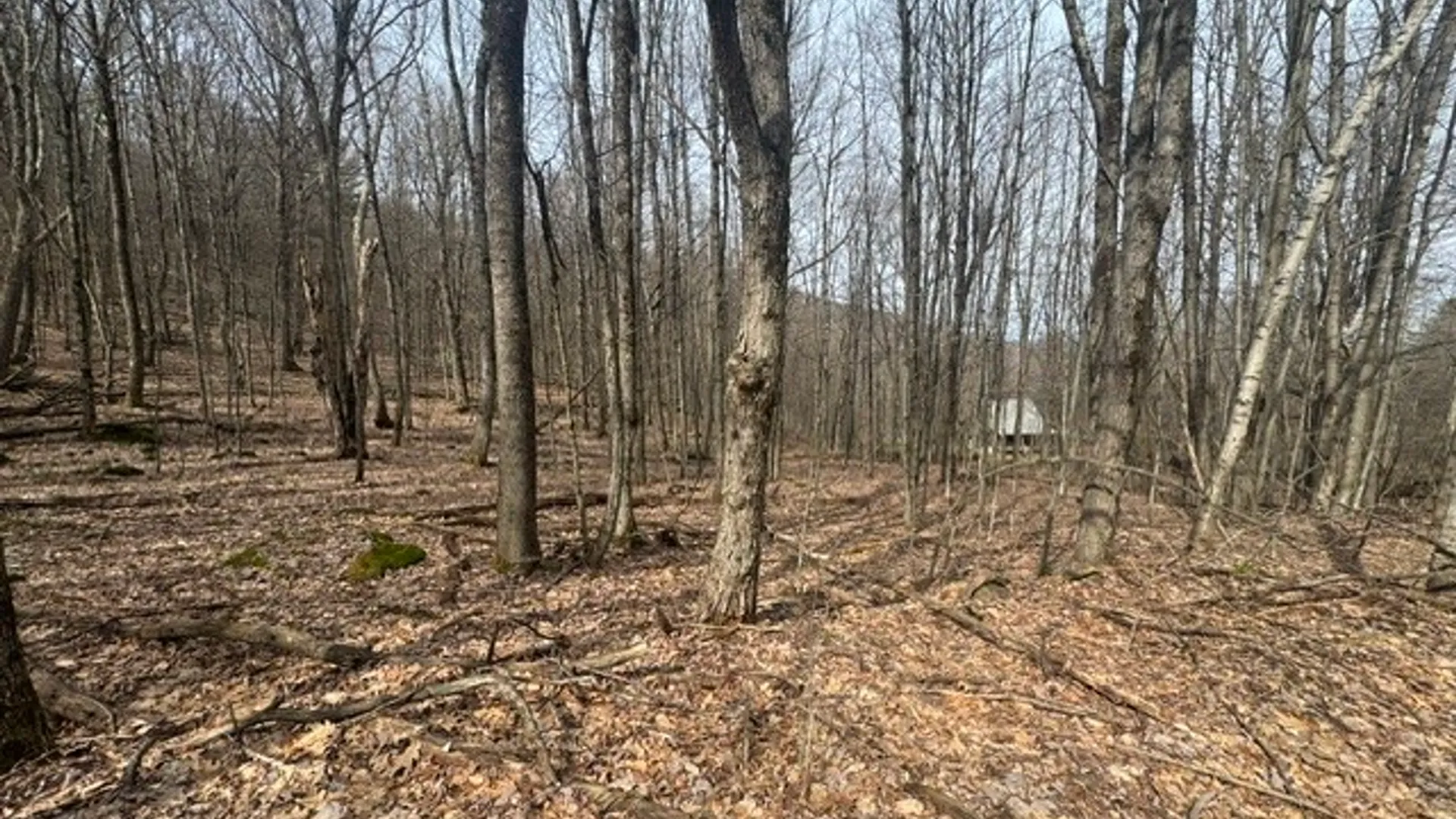 Property at 653 Frank Briggs Road, Davenport, NY 13820 11