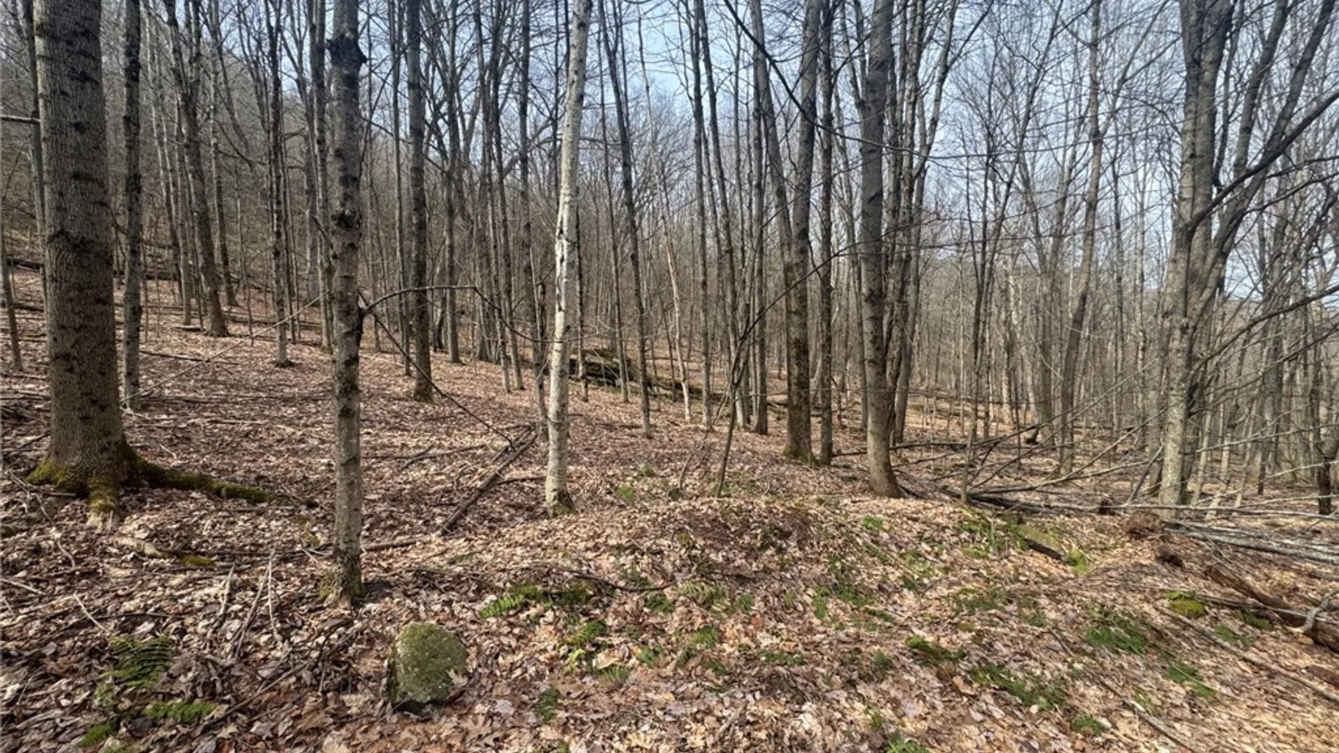 Property at 653 Frank Briggs Road, Davenport, NY 13820 12