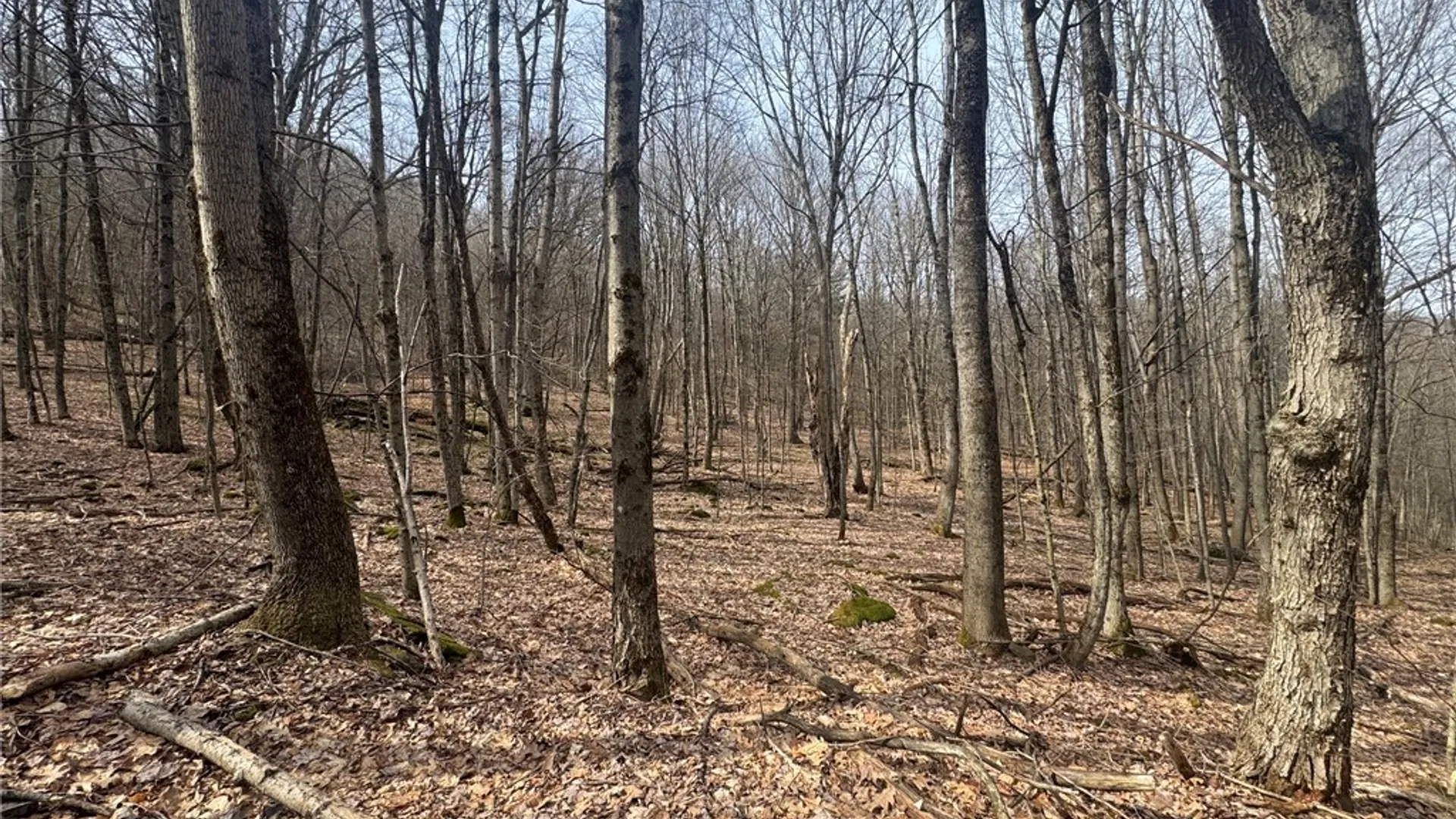 Property at 653 Frank Briggs Road, Davenport, NY 13820 13