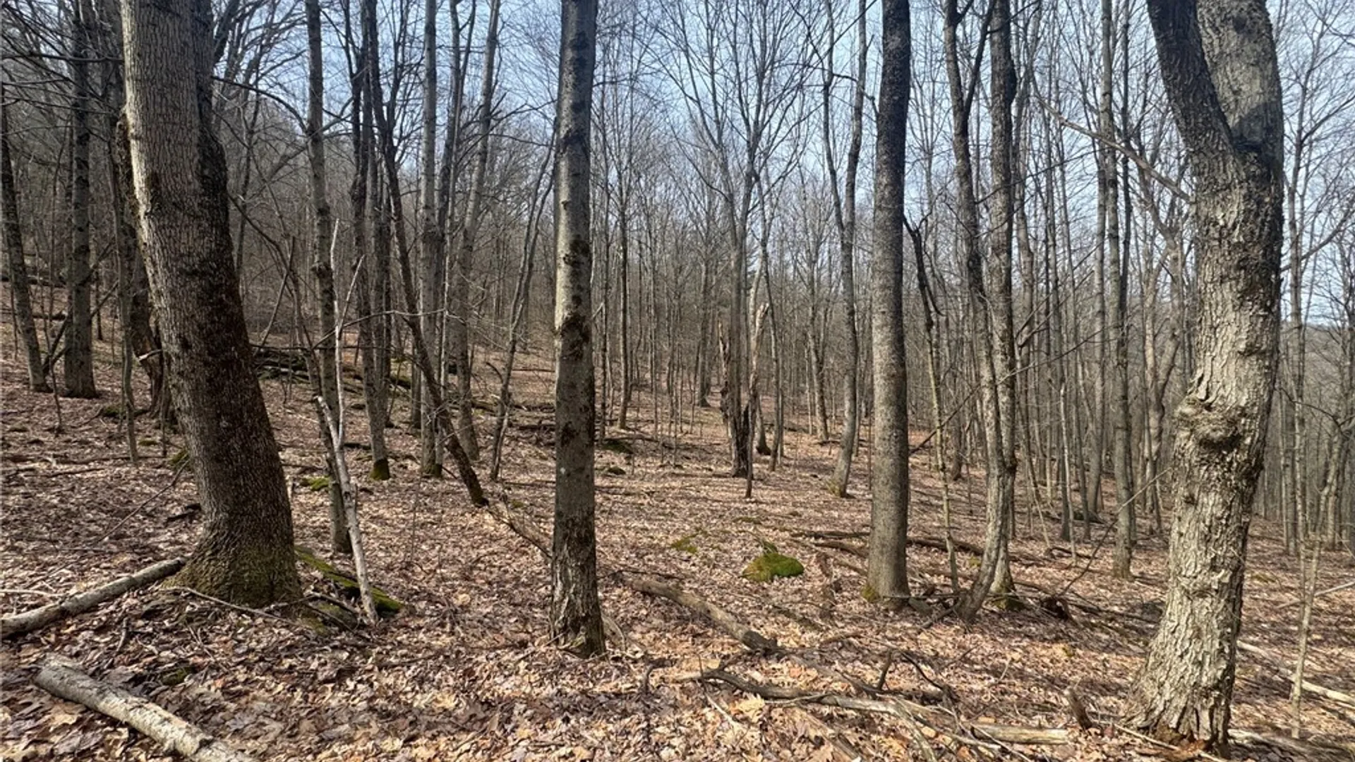 Property at 653 Frank Briggs Road, Davenport, NY 13820 14