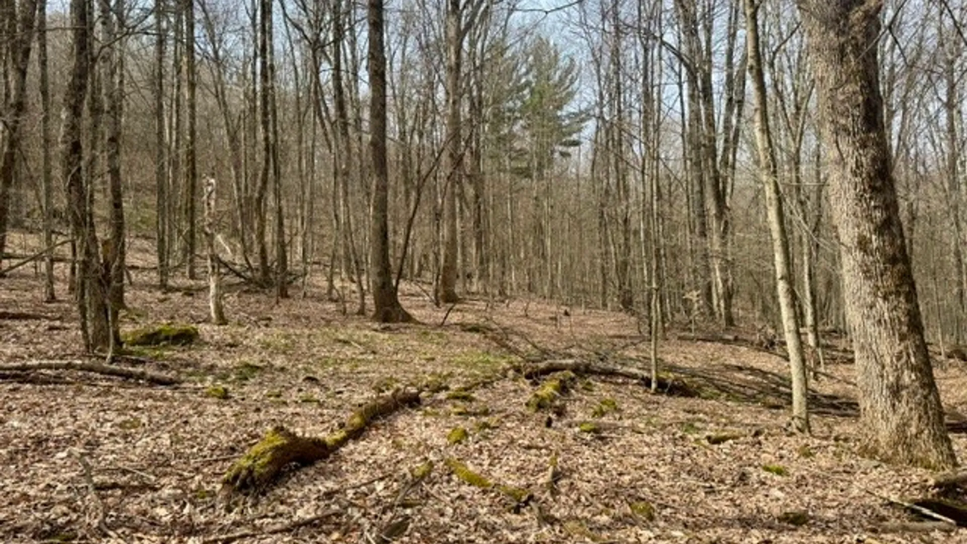 Property at 653 Frank Briggs Road, Davenport, NY 13820 19