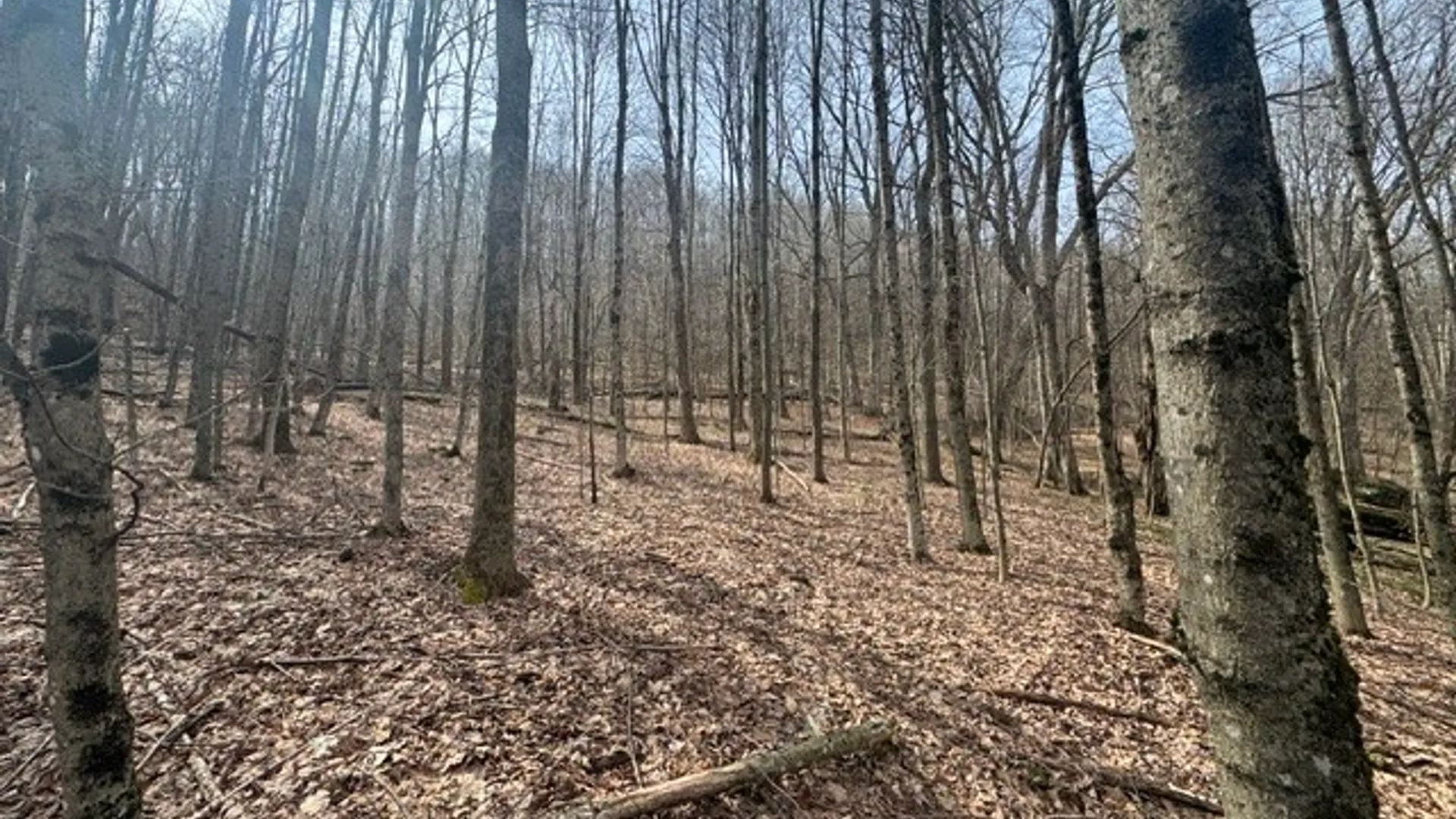 Property at 653 Frank Briggs Road, Davenport, NY 13820 39