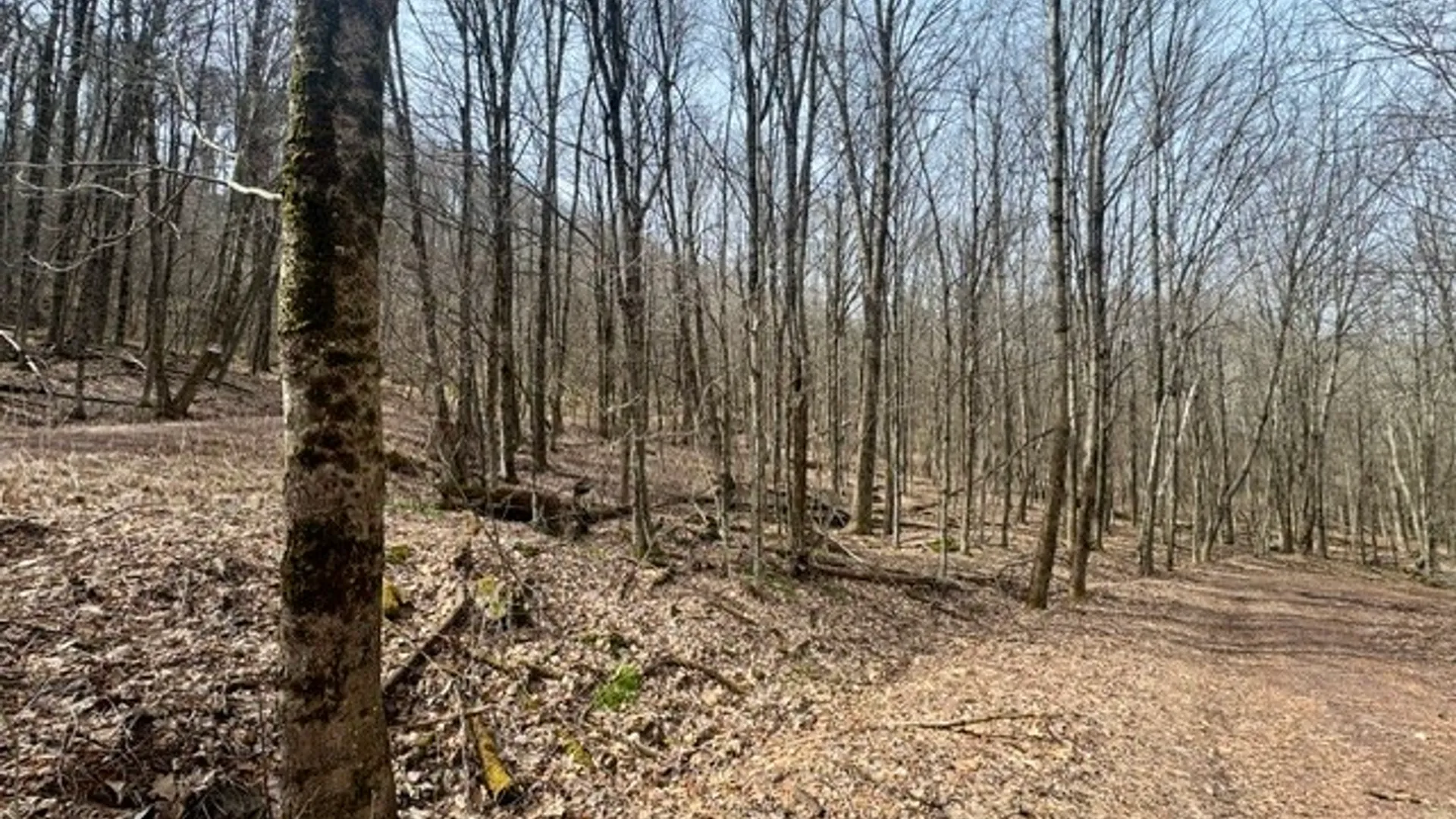 Property at 653 Frank Briggs Road, Davenport, NY 13820 41