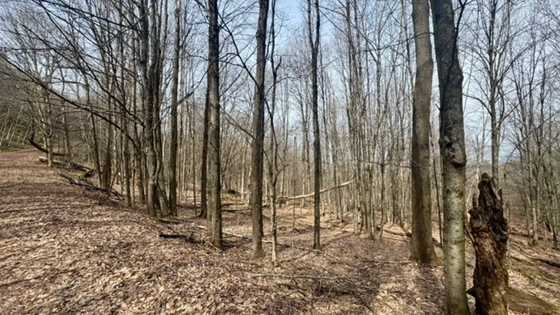 Property at 653 Frank Briggs Road, Davenport, NY 13820 42