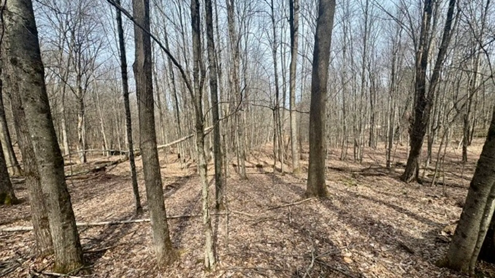 Property at 653 Frank Briggs Road, Davenport, NY 13820 43