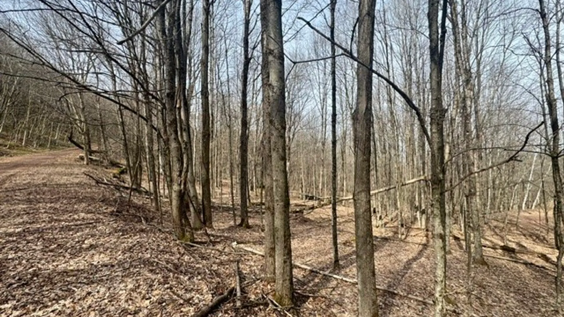 Property at 653 Frank Briggs Road, Davenport, NY 13820 44