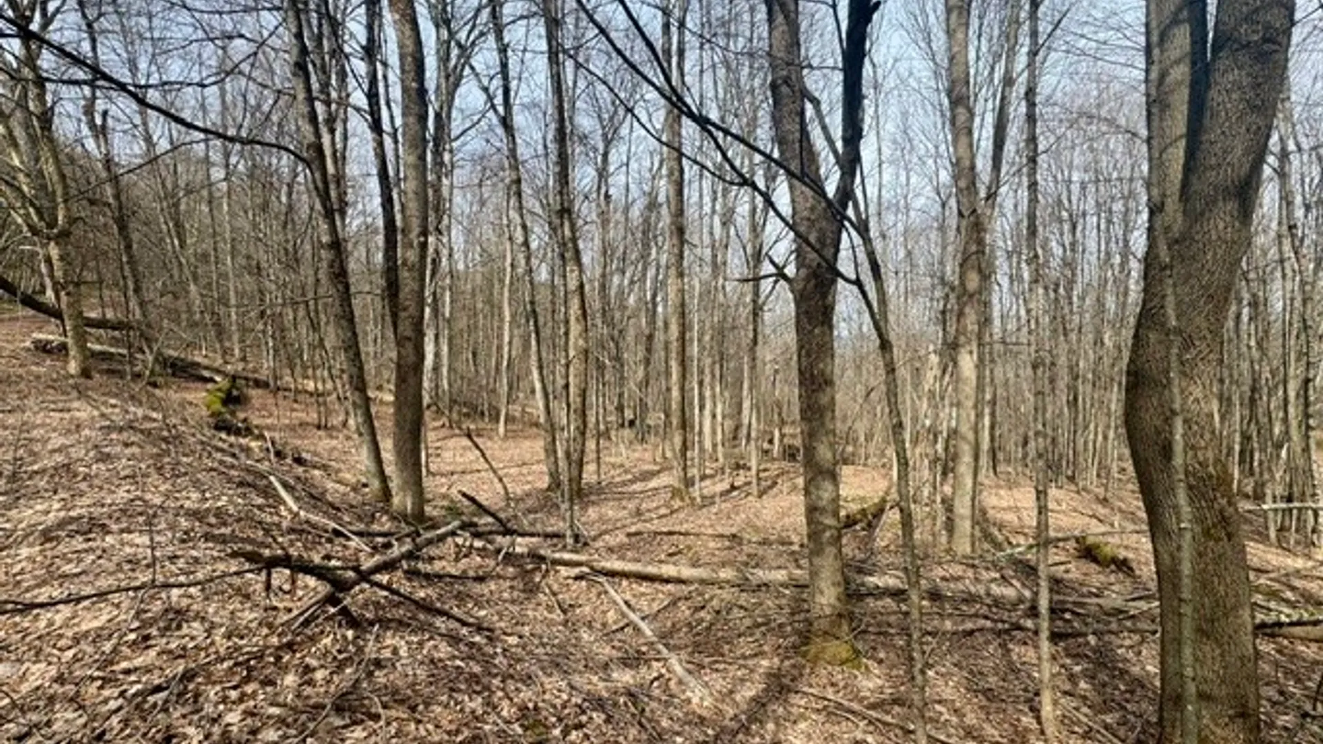 Property at 653 Frank Briggs Road, Davenport, NY 13820 46