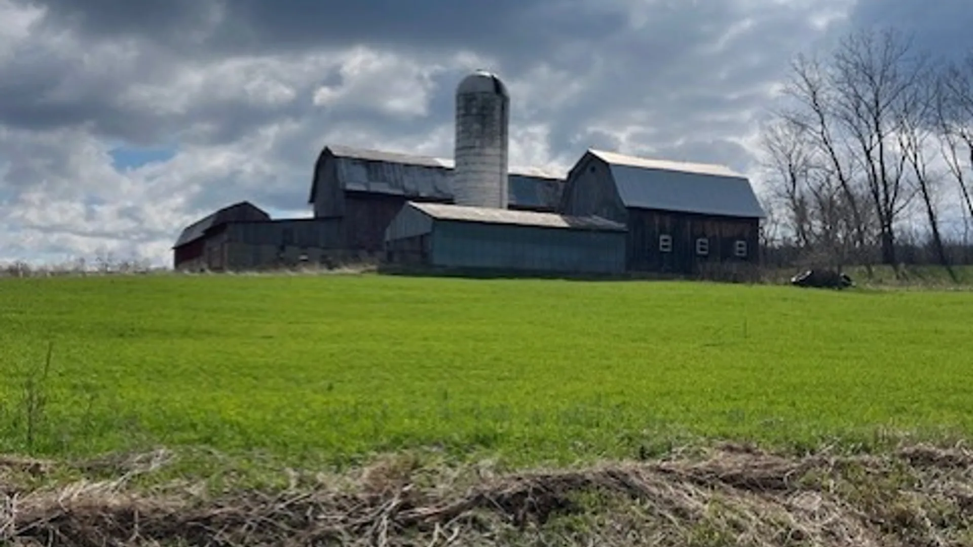 Property at 8463 Scipio Road, Mt Morris, NY 14517 3
