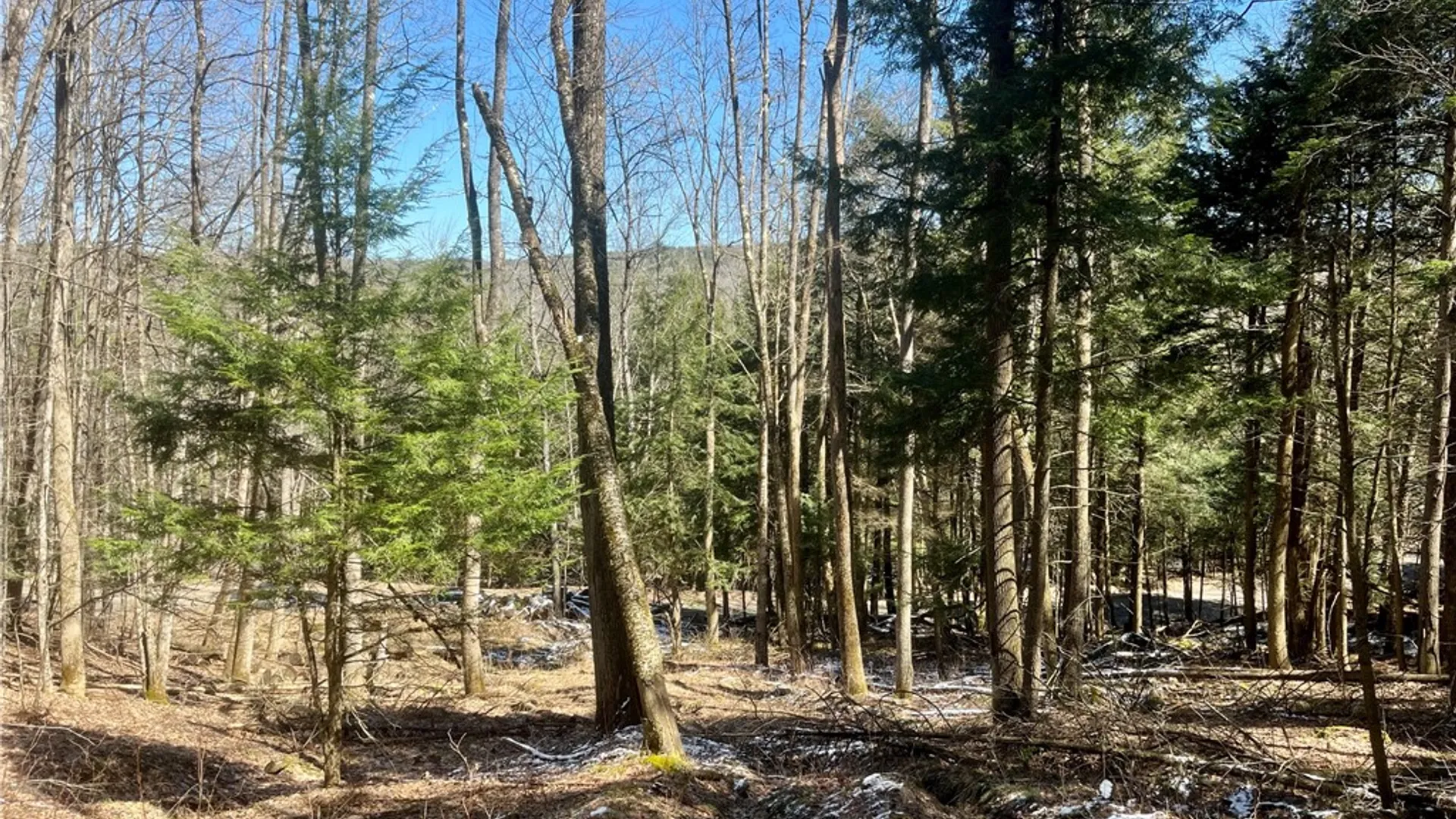 Property at Chlorinator Road, Hartwick, NY 13807 6