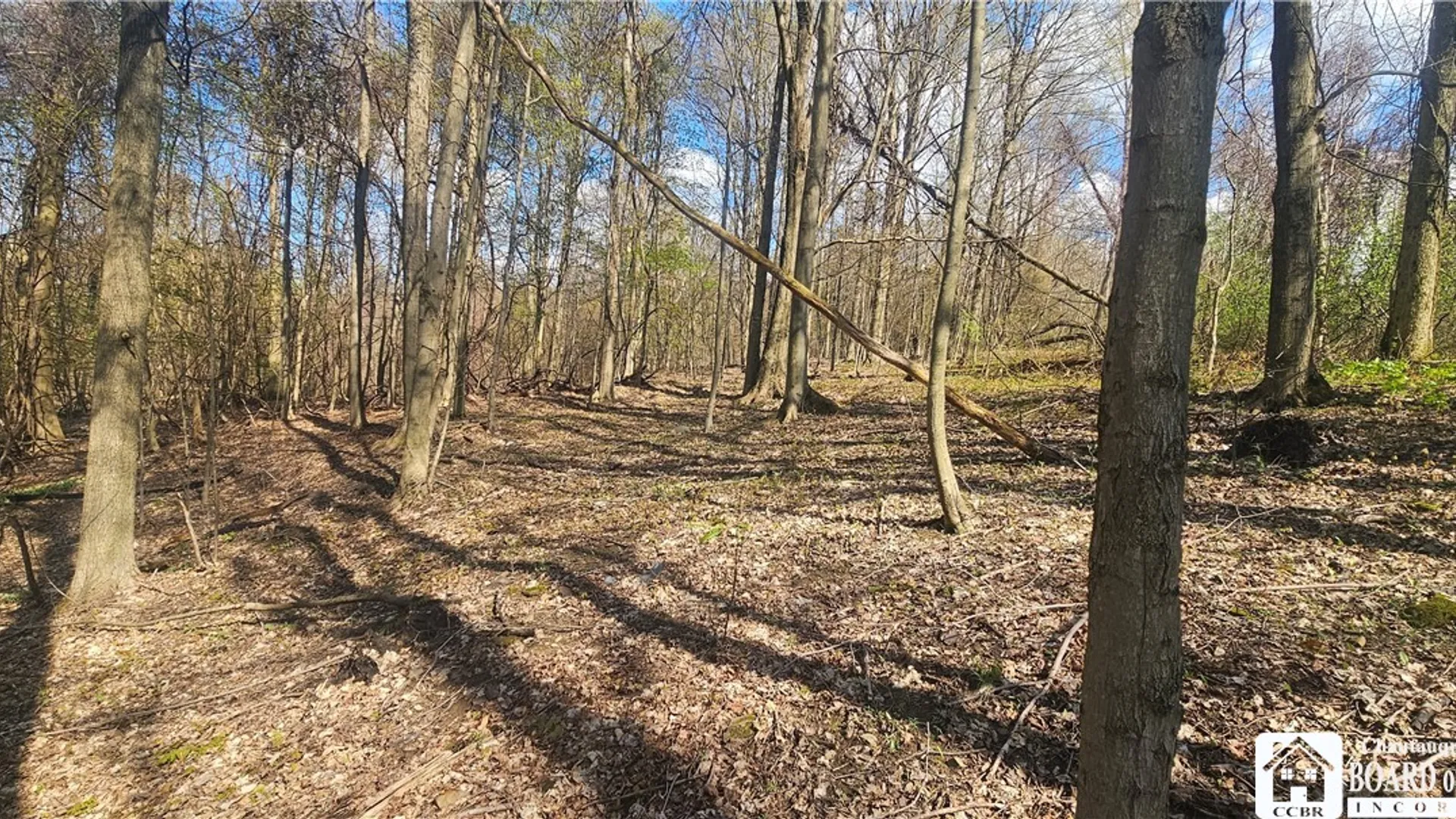 Property at 6110 Welch Hill Road, Ripley, NY 14775 12