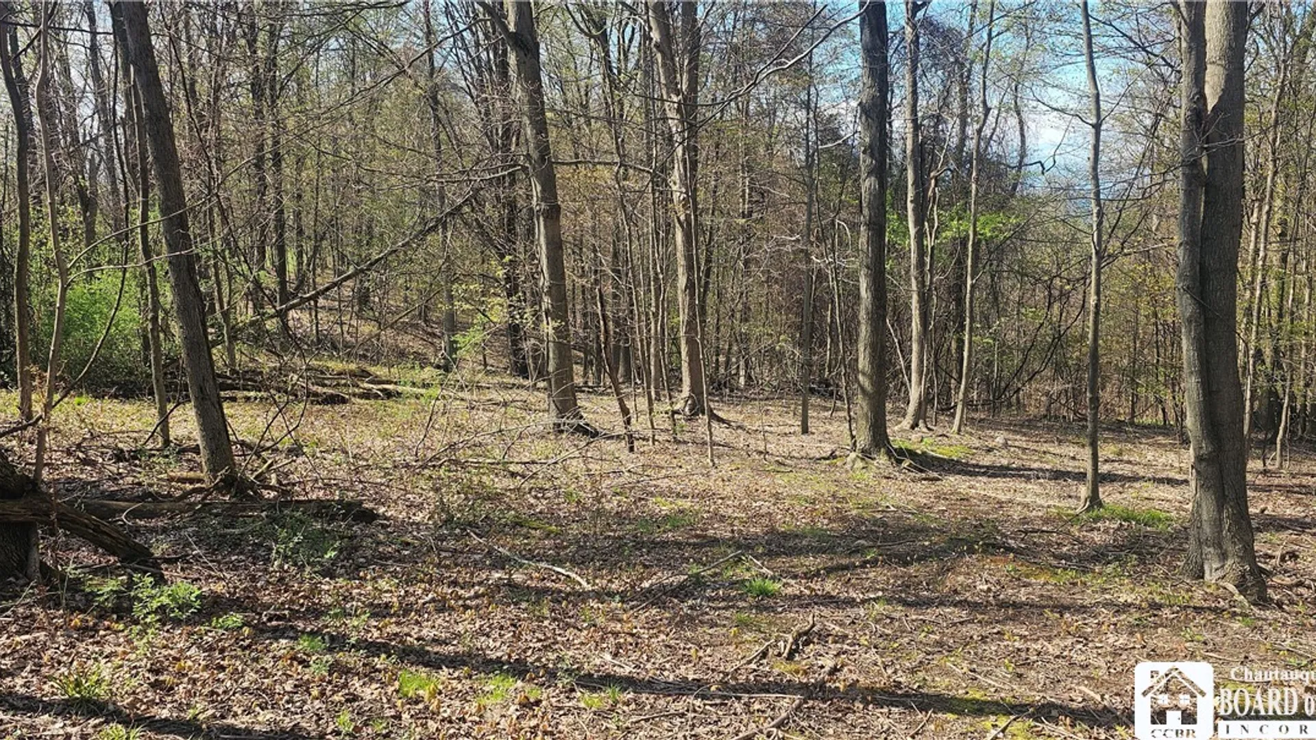 Property at 6110 Welch Hill Road, Ripley, NY 14775 13