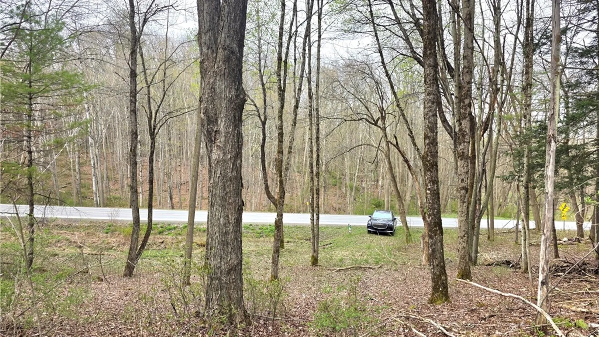 Property at County Highway 52, Middlefield, NY 13326 2