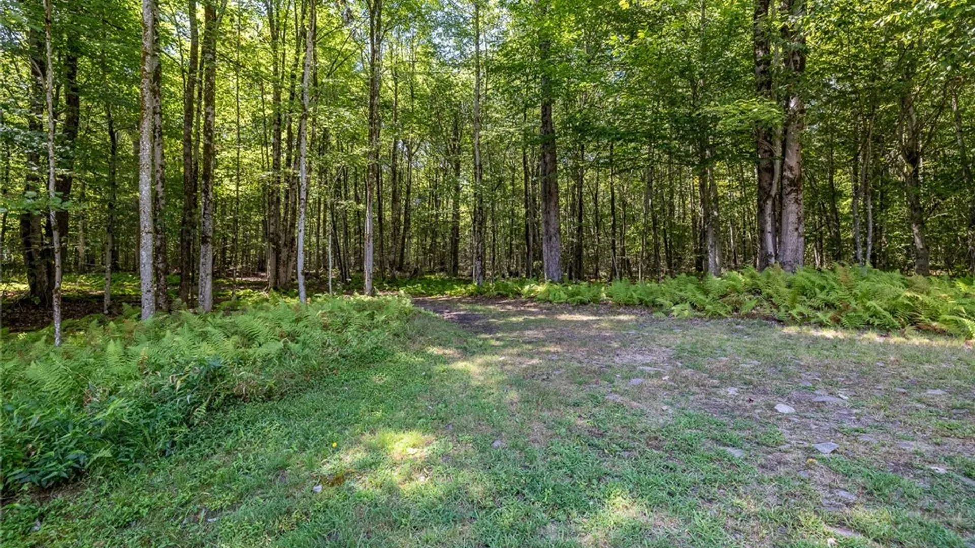 Property at 87 Tamblin Ridge Trail, Constantia, NY 13028 15