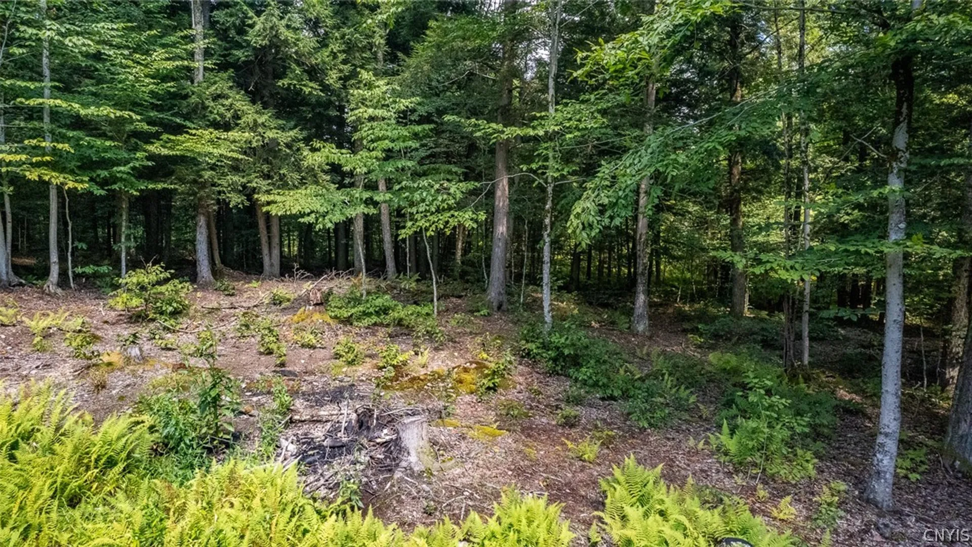 Property at 87 Tamblin Ridge Trail, Constantia, NY 13028 37