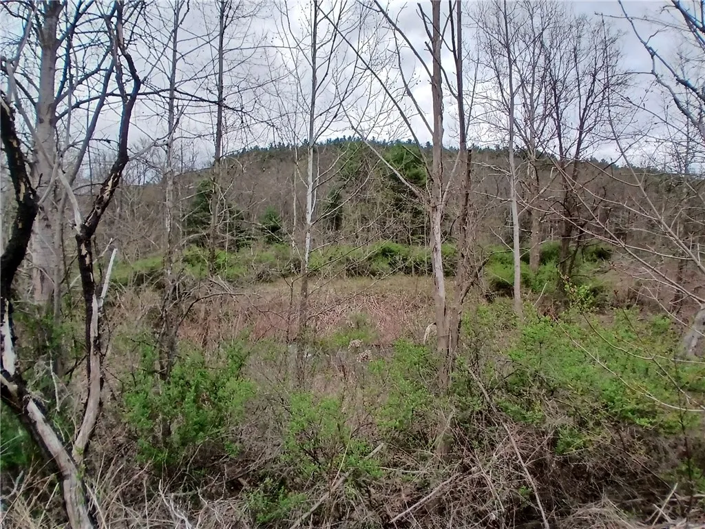 Property at 0 Caton Rd (ST RT 225), Corning, NY 14830
