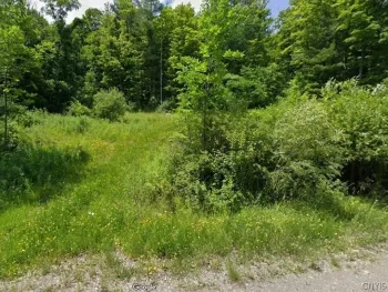 Property at 2190 Warren Road, Italy, NY 14507