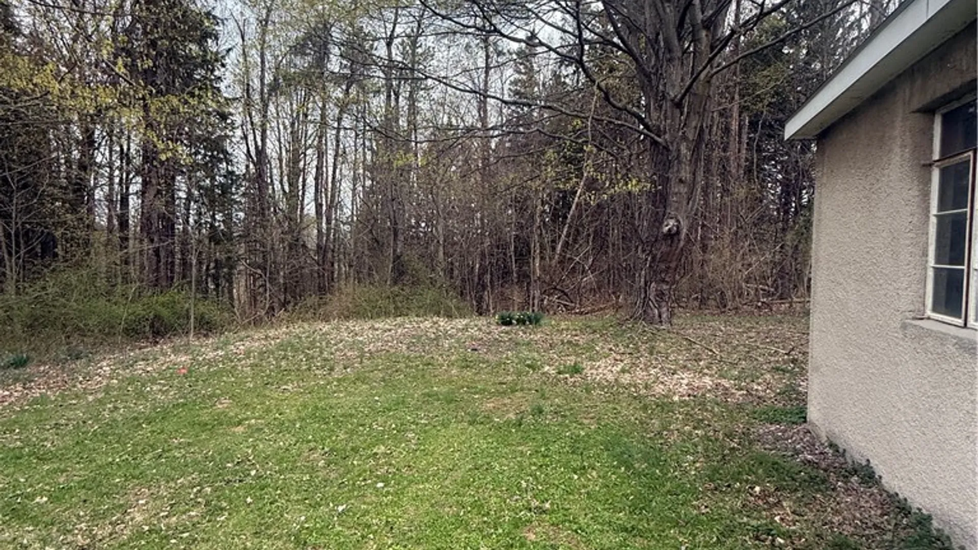 Property at 6727 State Route 14, Sodus, NY 14555 5