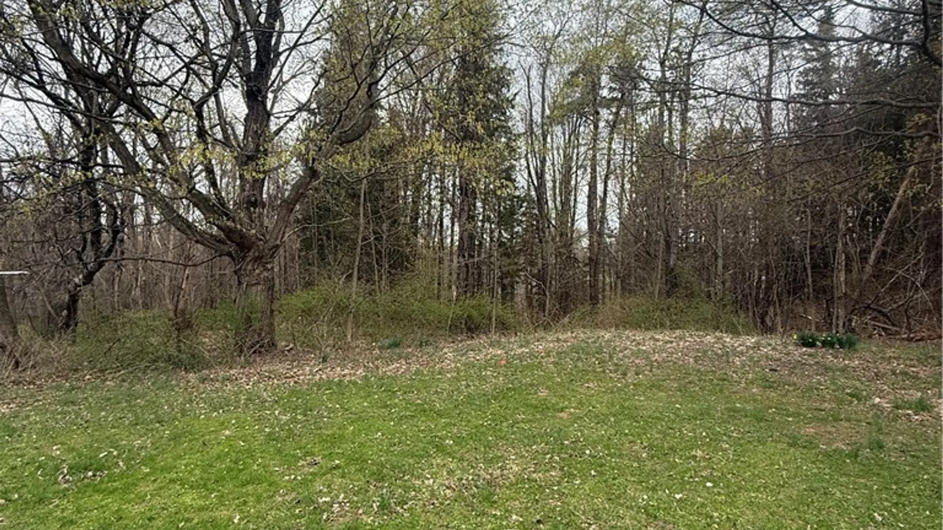 Property at 6727 State Route 14, Sodus, NY 14555 6