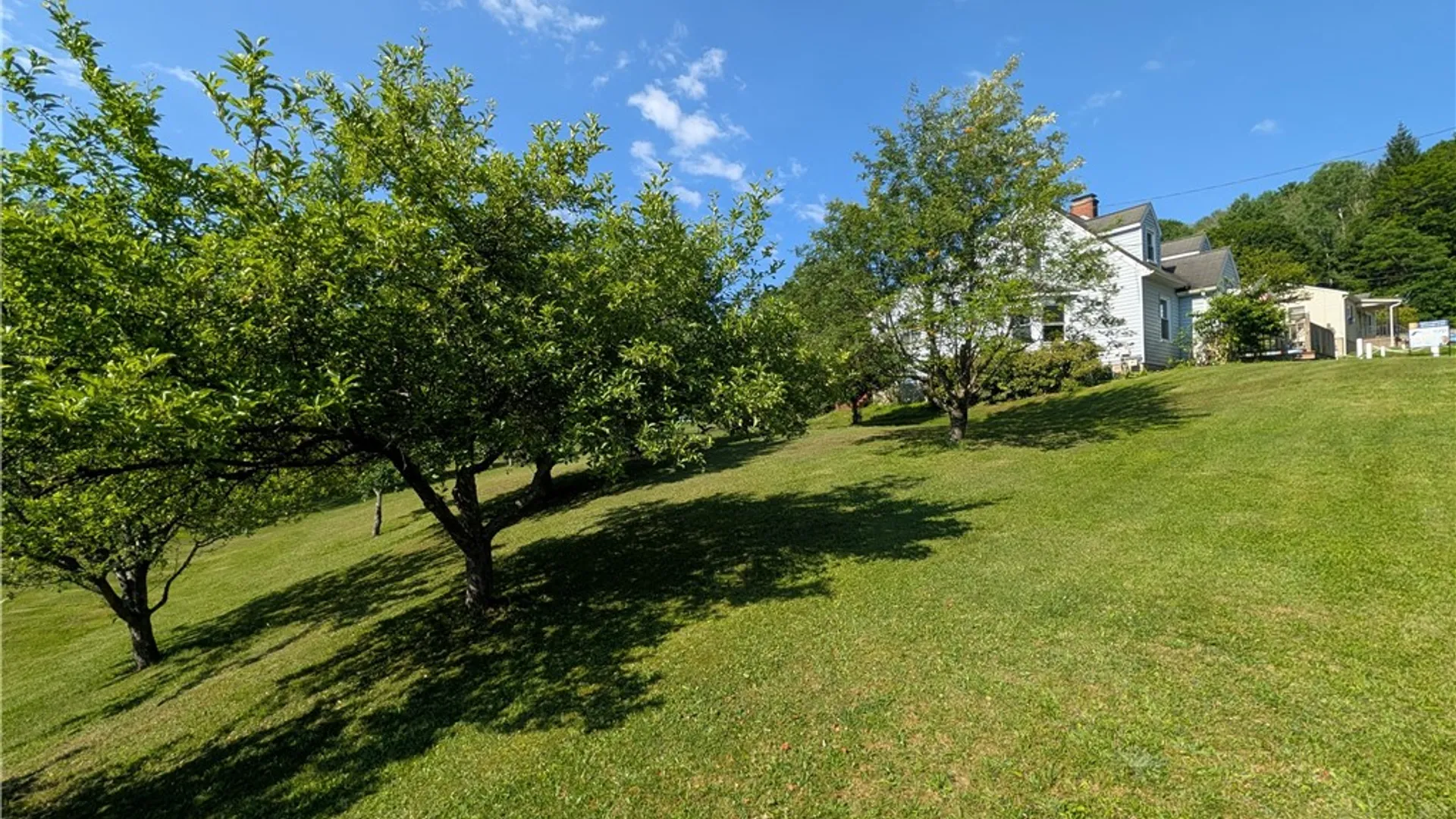 Property at 26 Race Street, Bradford City, PA 16701 39