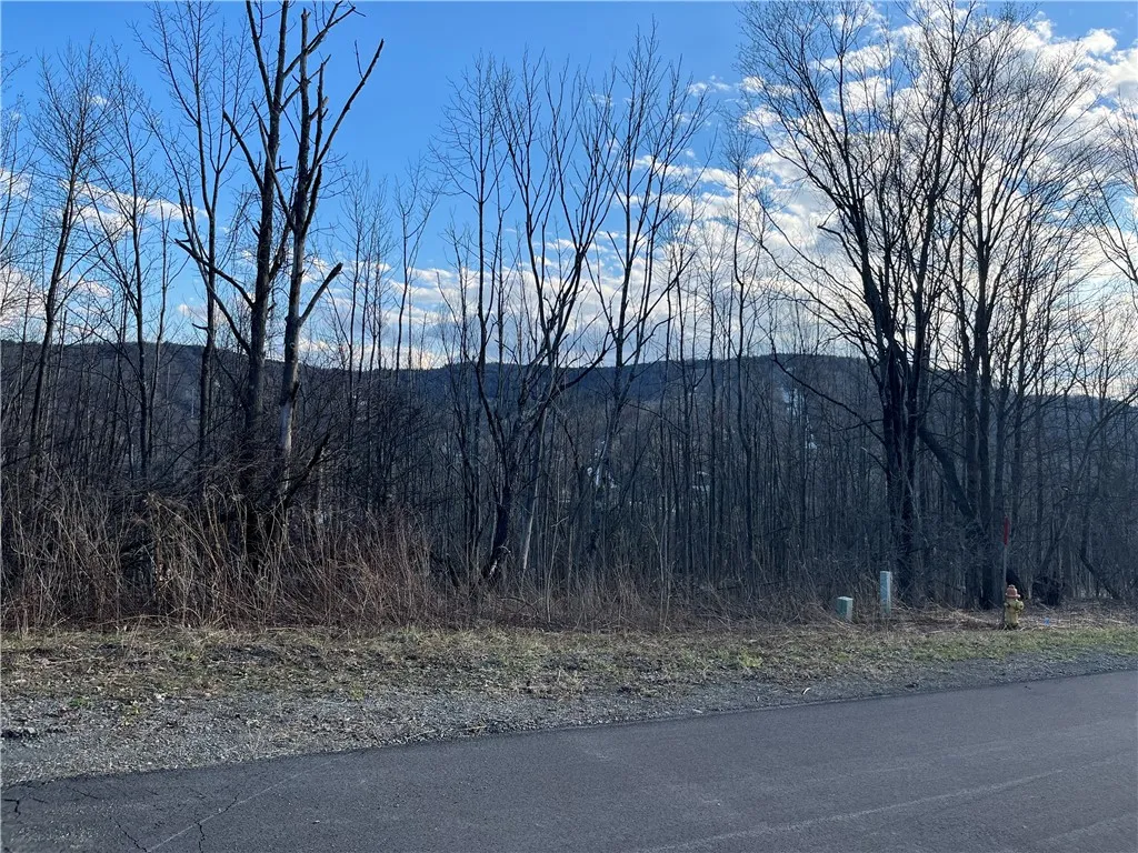 Property at 2022/2024 Amalia Drive, Virgil, NY 13045