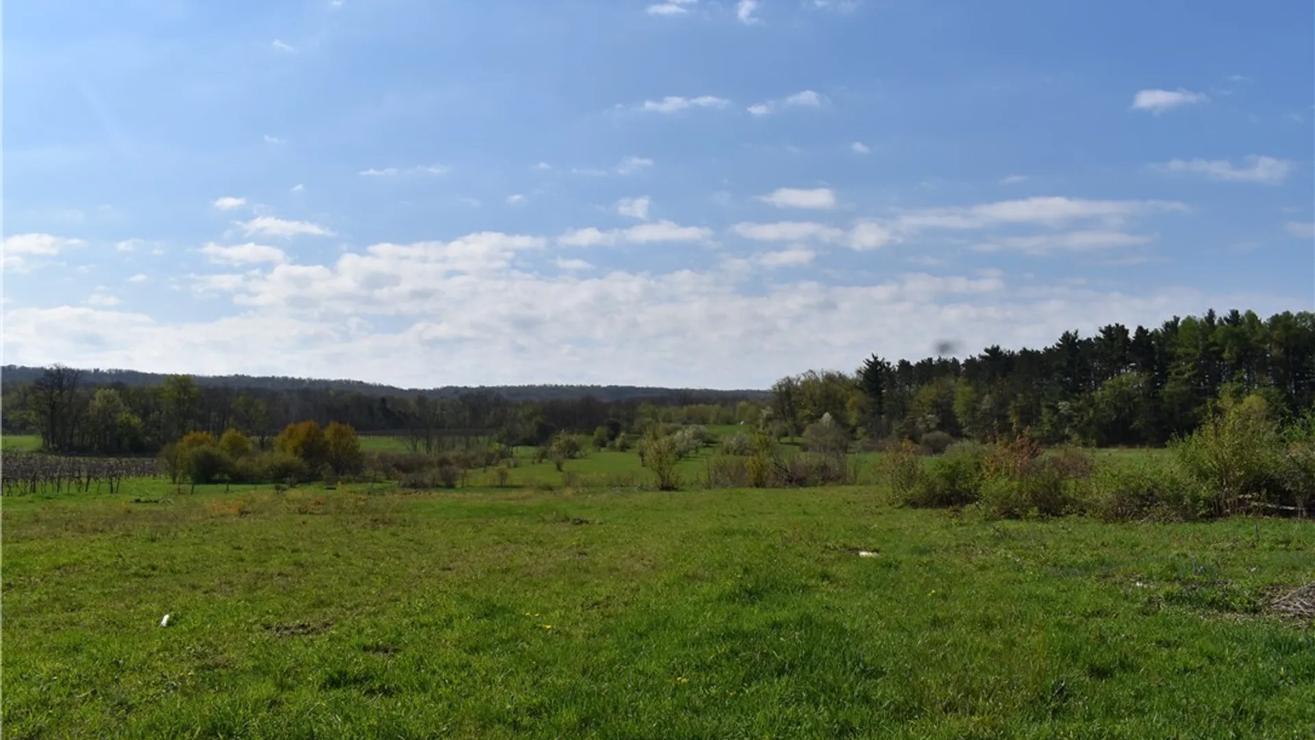 Property at 6637 Ellicott Road, Portland, NY 14769 33