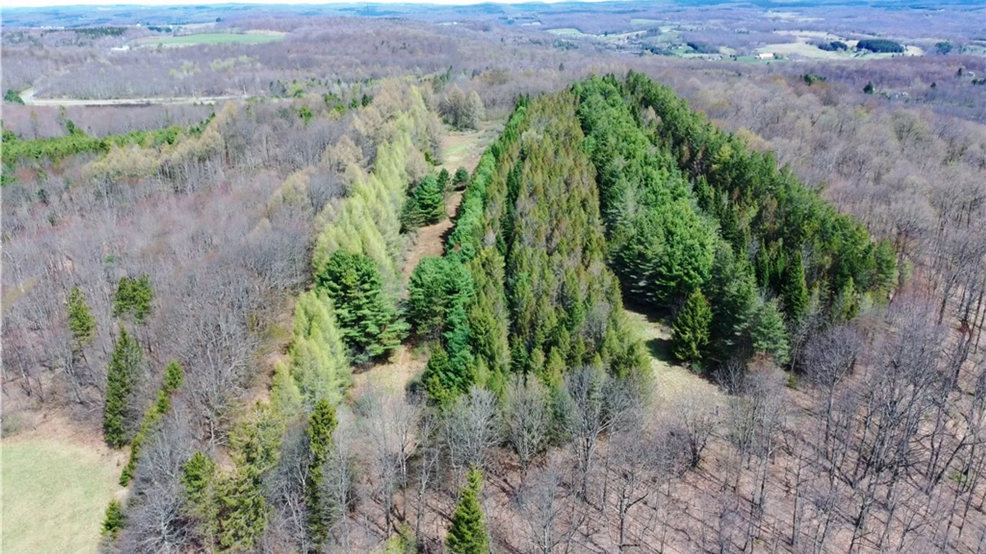 Property at 3776 State Highway 80, Columbus, NY 13460 42