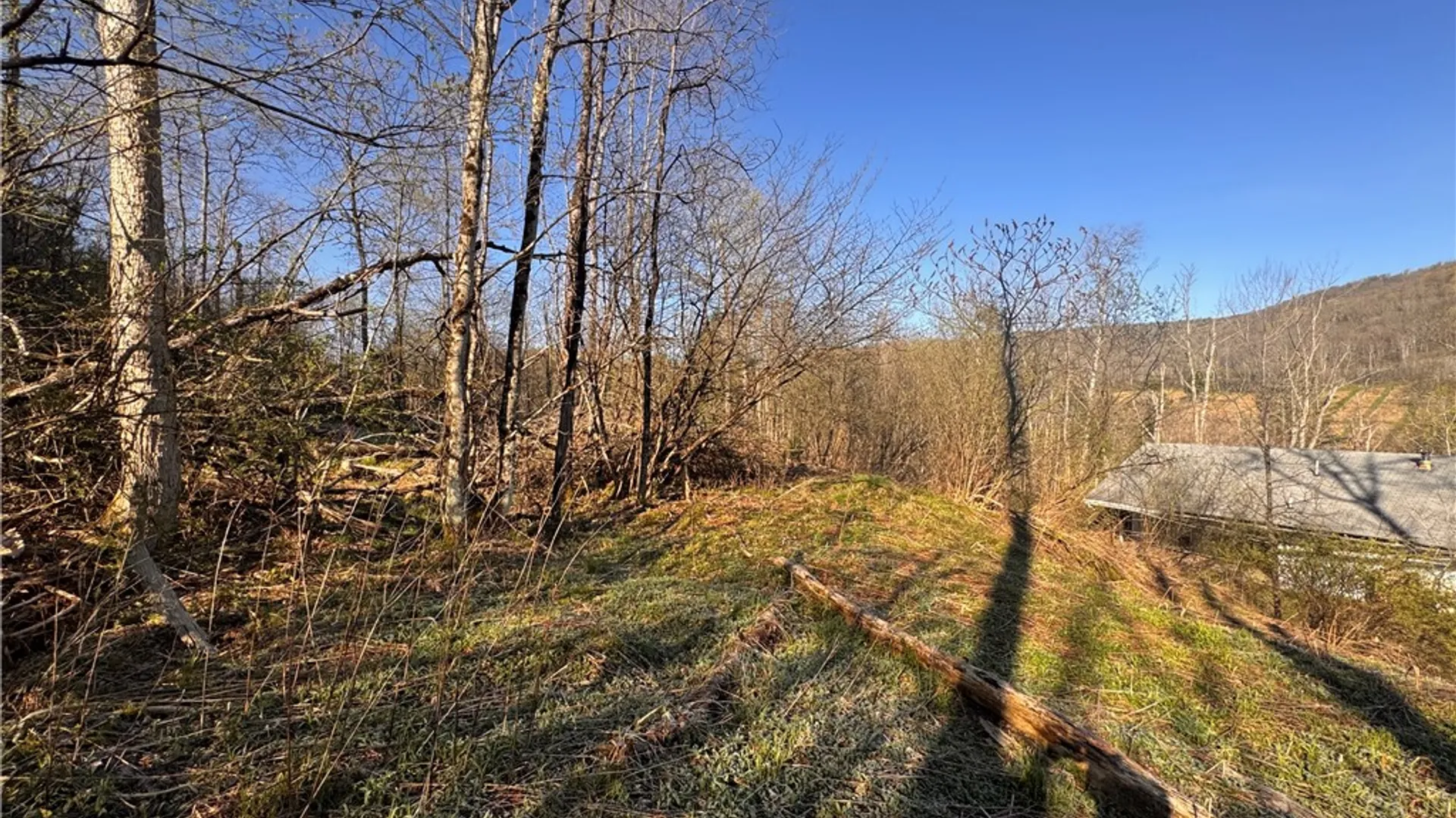 Property at 969 West Corydon Street, Bradford Town, PA 16701 7