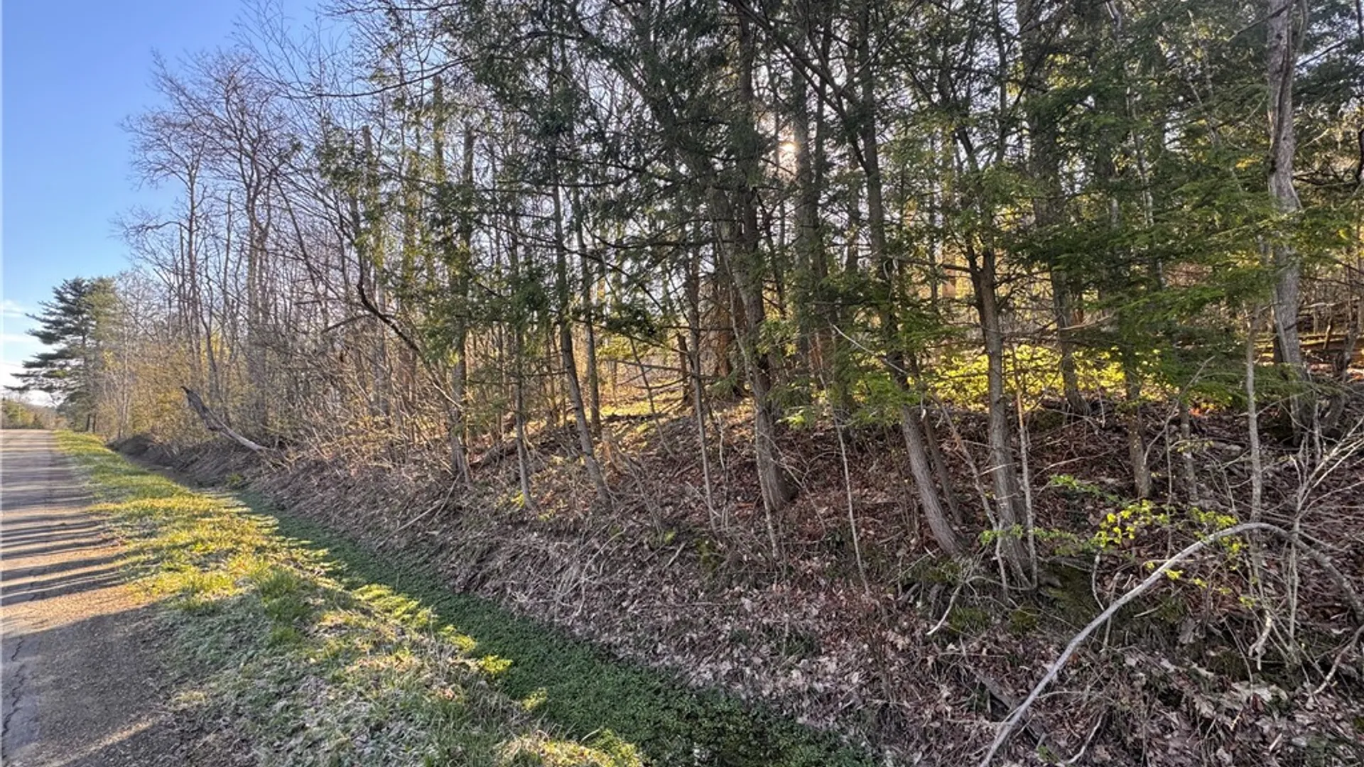 Property at 969 West Corydon Street, Bradford Town, PA 16701 13