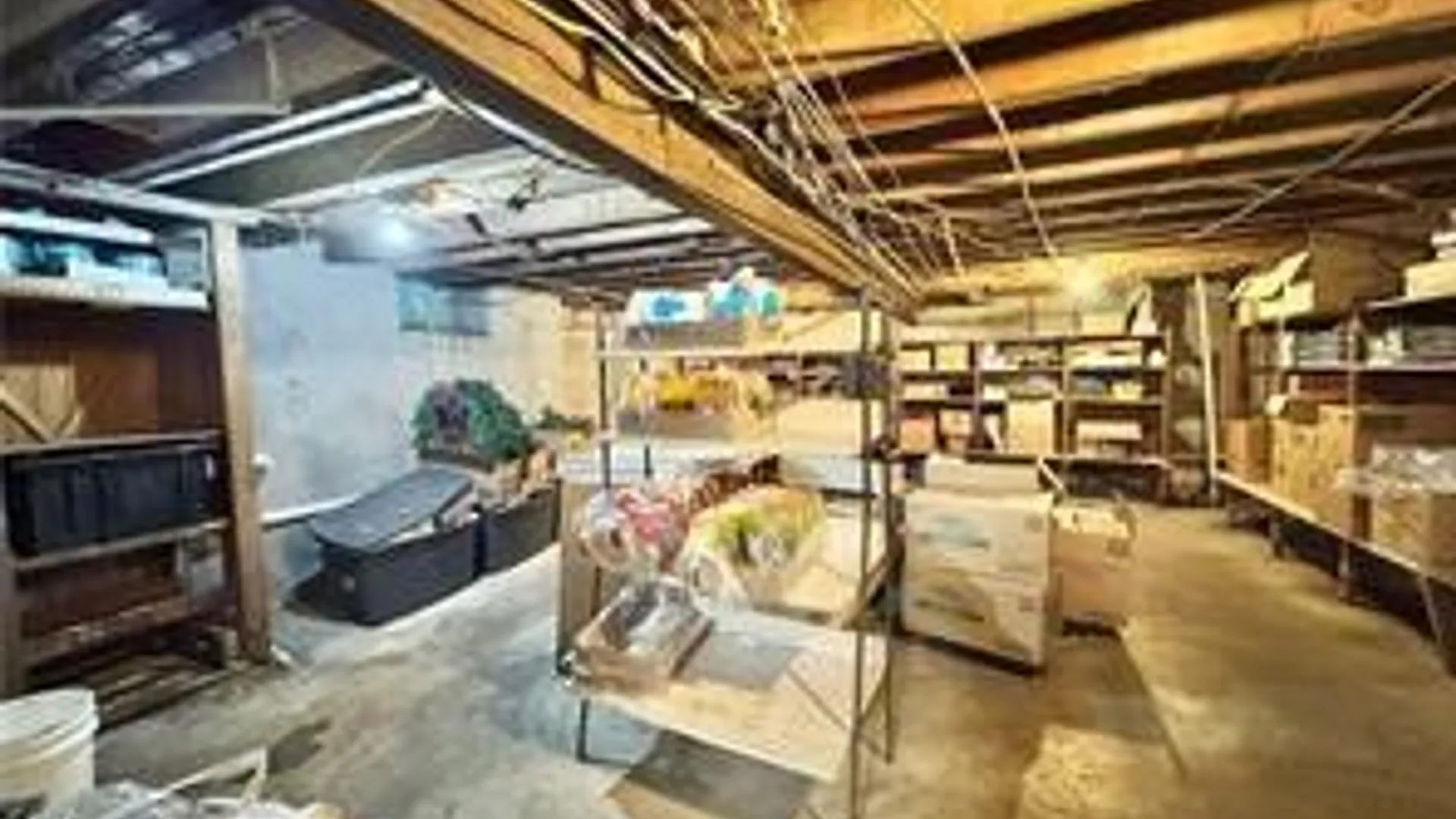 Property at 297-301 E North Street, Geneva City, NY 14456 34