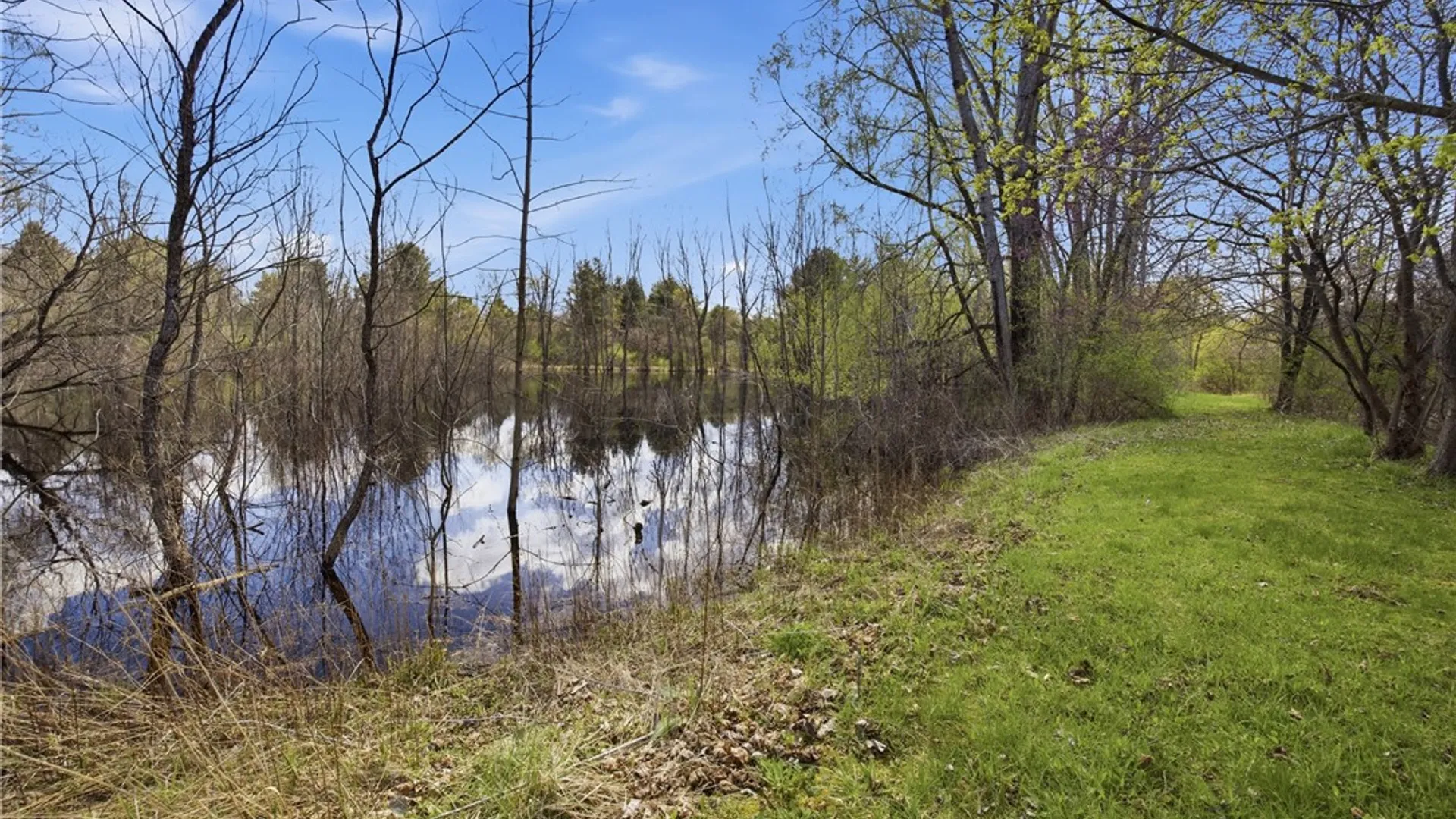 Property at 2555 Willett Road Ext, Jerusalem, NY 14478 13