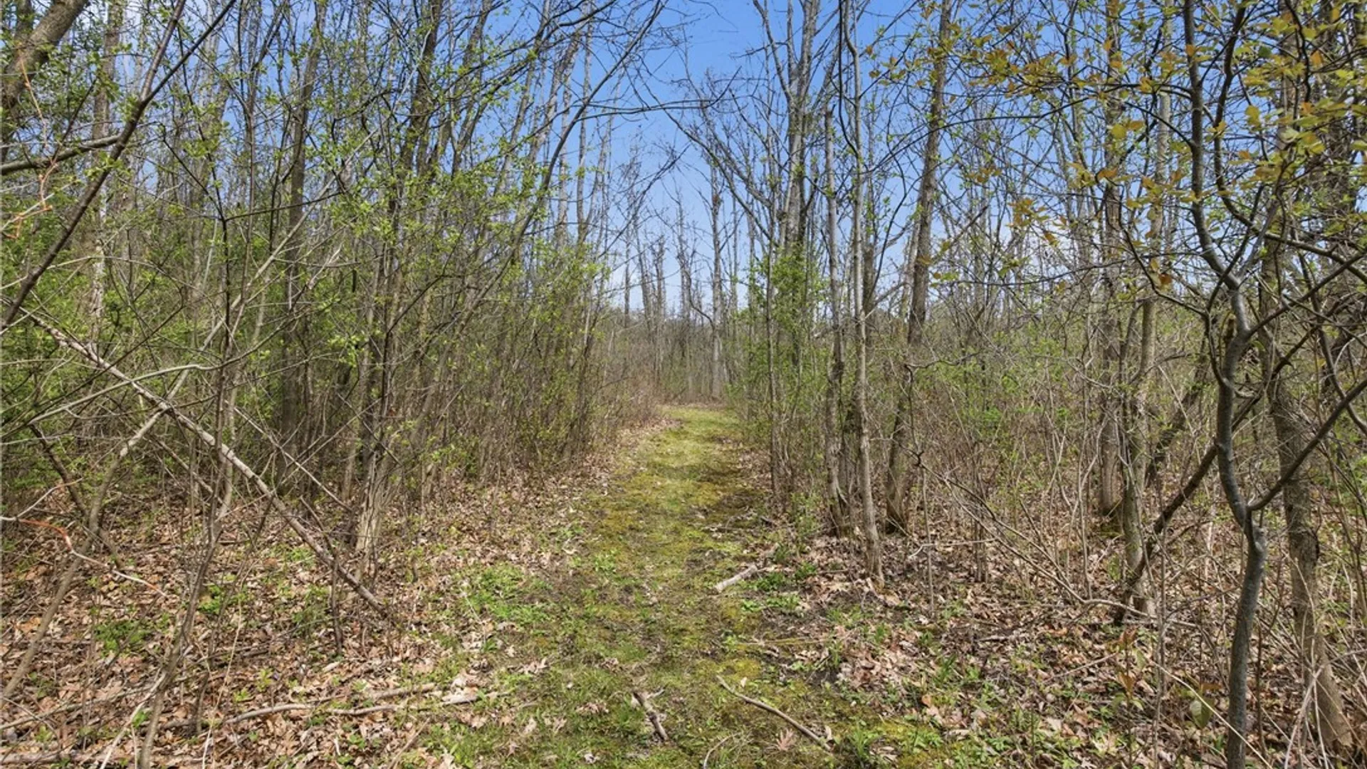 Property at 2555 Willett Road Ext, Jerusalem, NY 14478 30