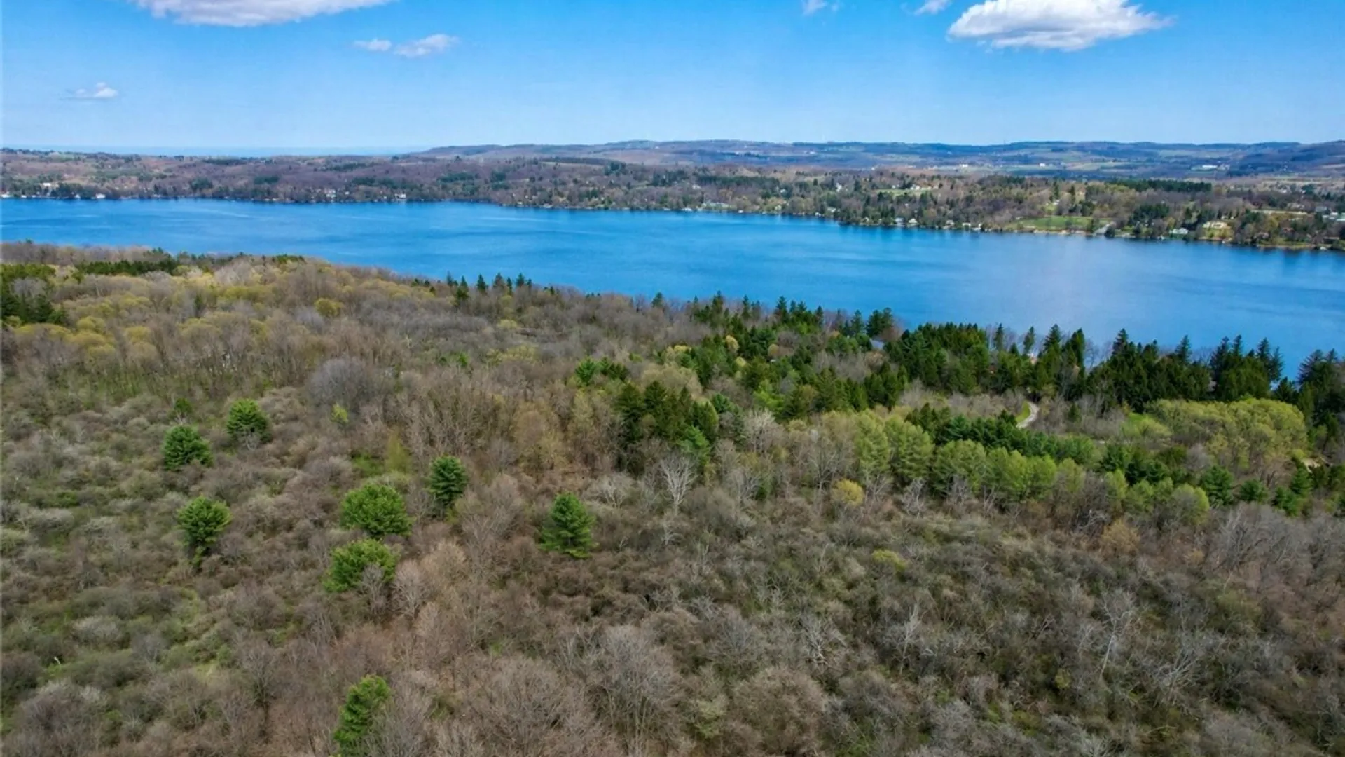 Property at 00 Route 92, Cazenovia, NY 13035 3
