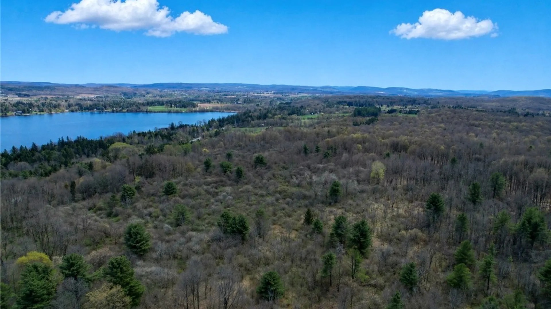 Property at 00 Route 92, Cazenovia, NY 13035 6