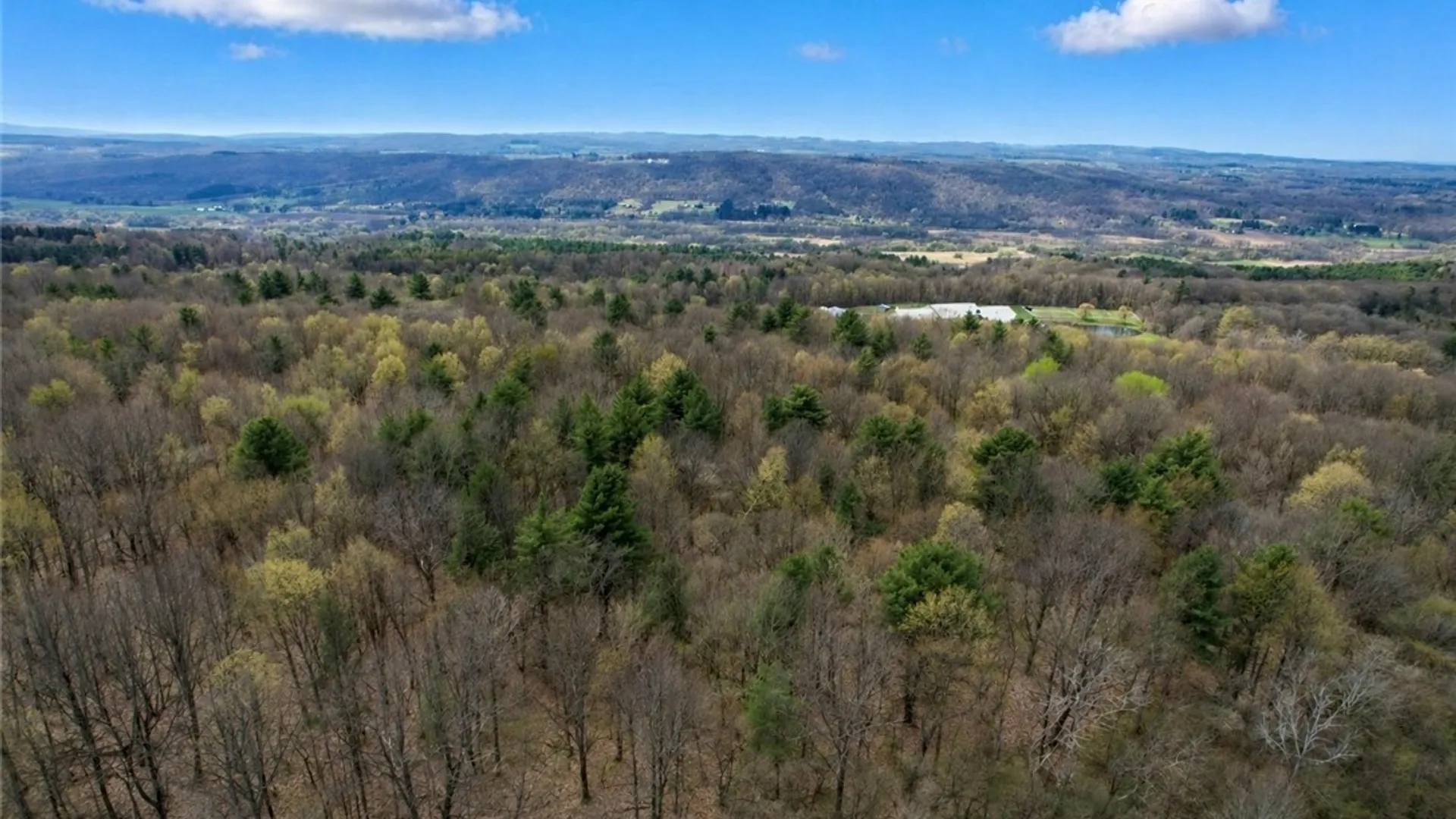 Property at 00 Route 92, Cazenovia, NY 13035 7
