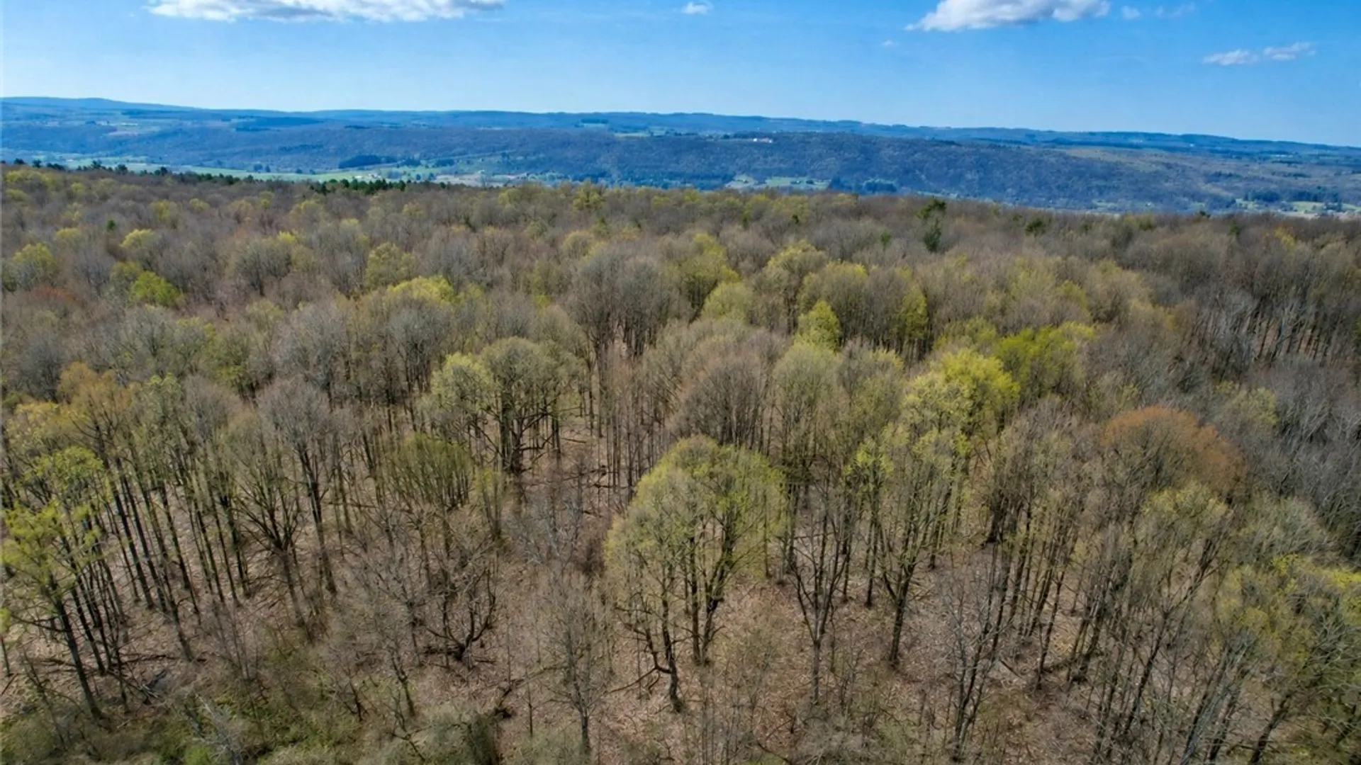 Property at 00 Route 92, Cazenovia, NY 13035 8