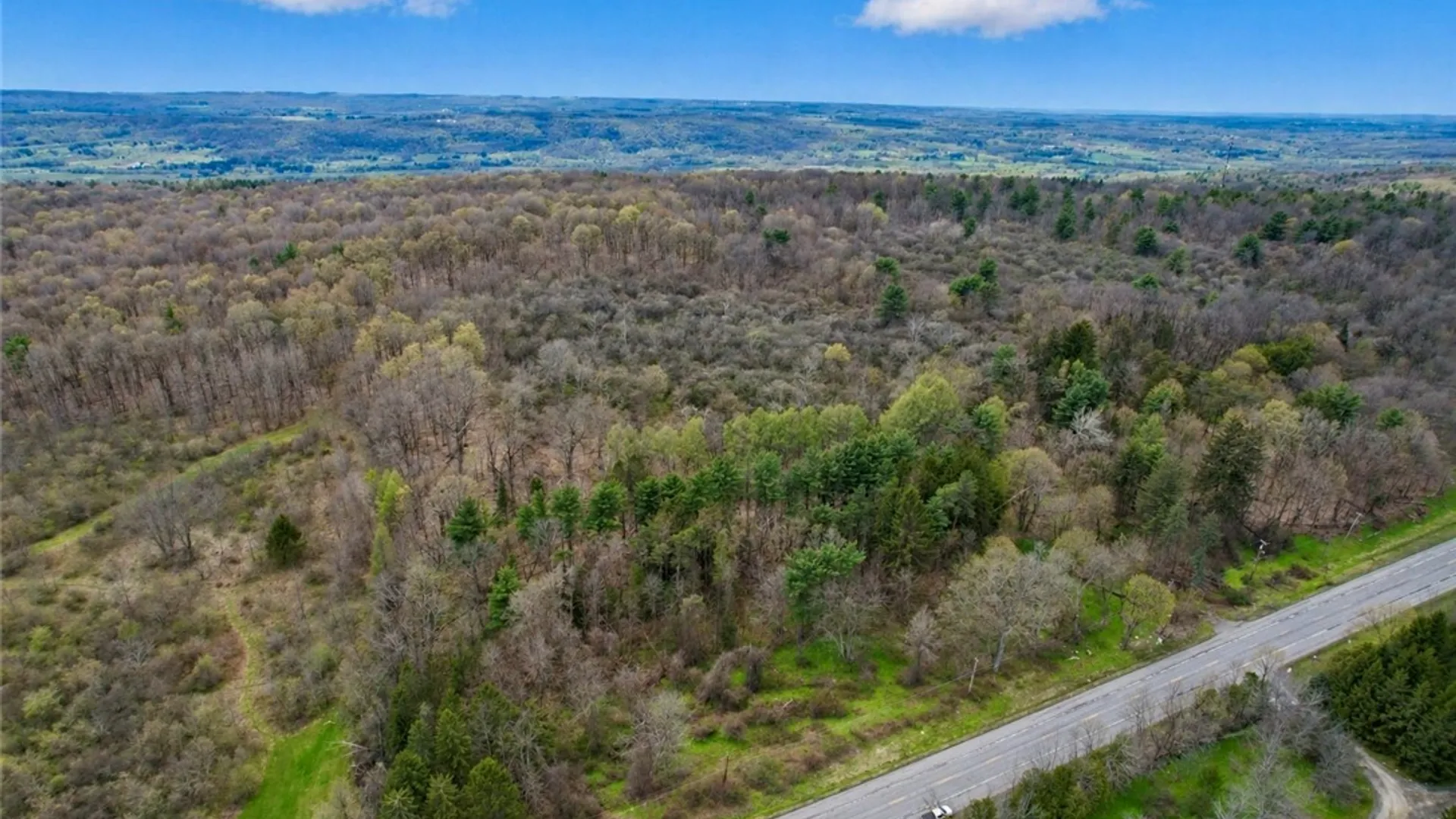 Property at 00 Route 92, Cazenovia, NY 13035 9