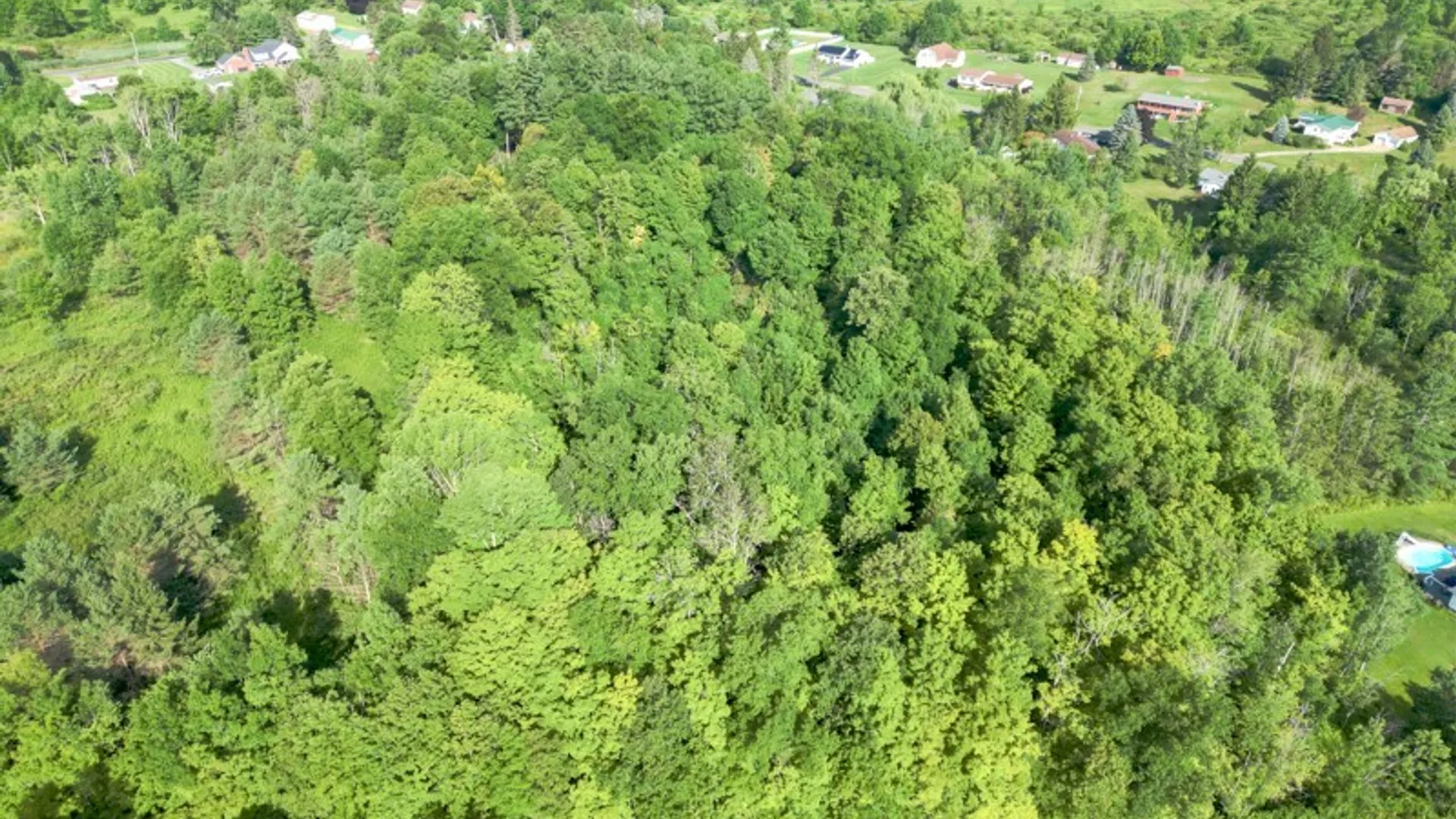 Property at 2361 State Route 28, German Flatts, NY 13407 5